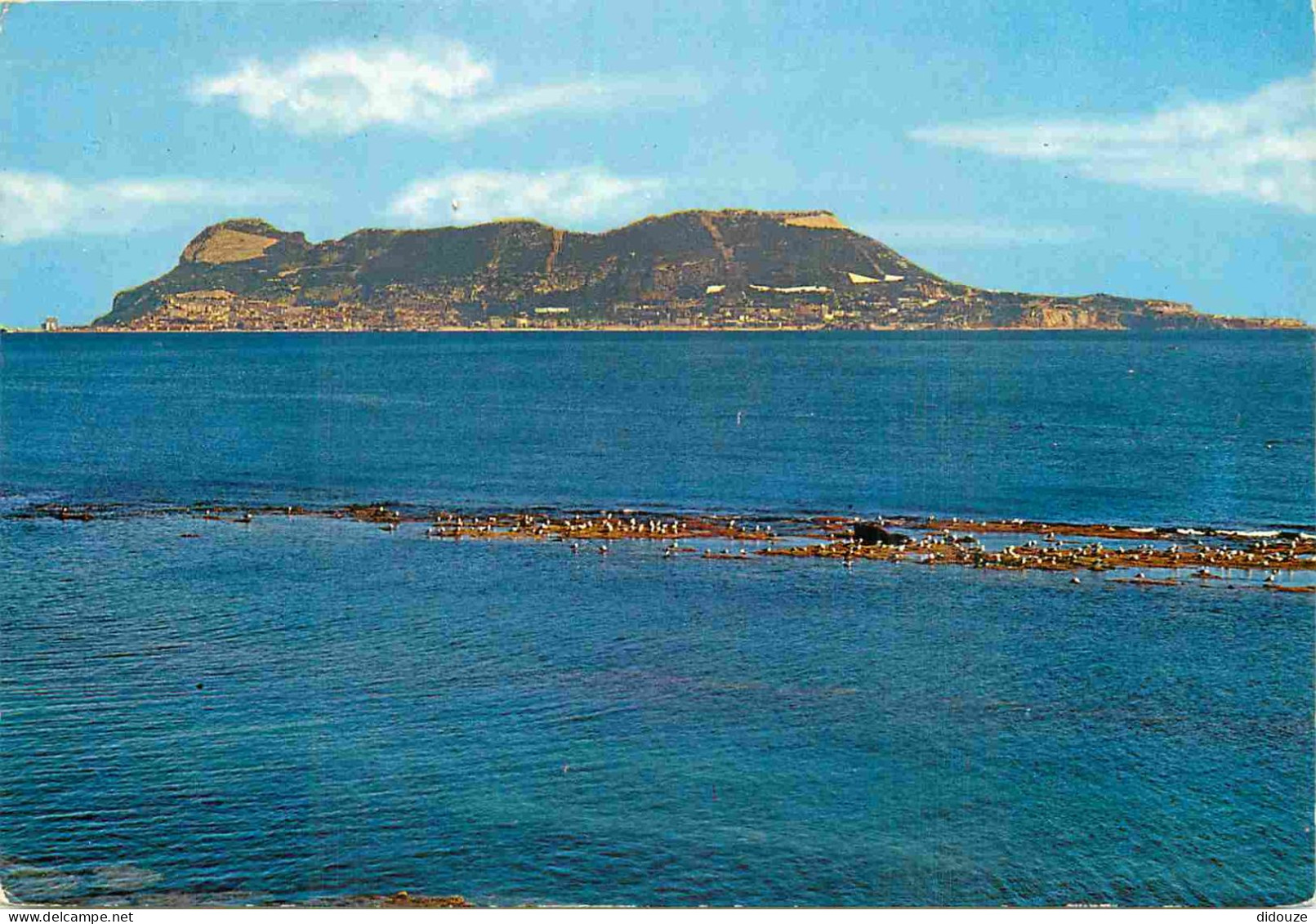 Gibraltar - El Penon De Gibraltar - Le Rocher De Gibraltar - CPM - Voir Scans Recto-Verso - Gibraltar