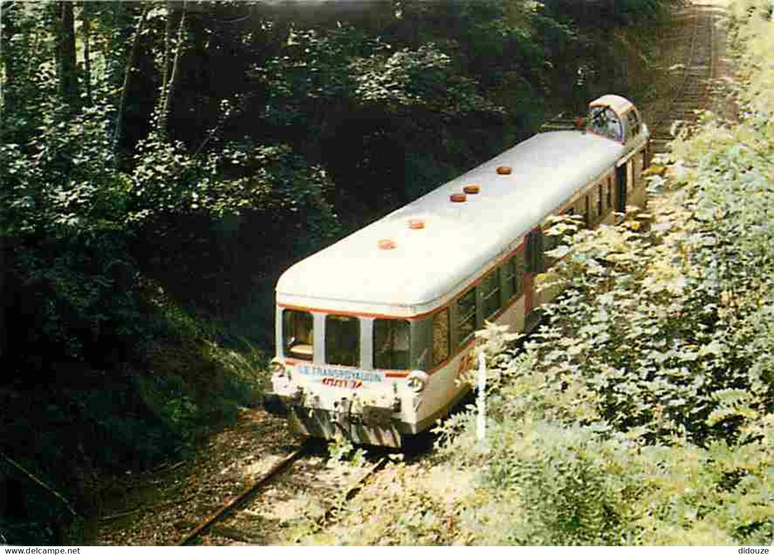 Trains - Le Train Touristique Montargis Toucy Les Etangs De Moutiers - Autorail X 89 3871 à Douchy - CPM - Voir Scans Re - Eisenbahnen