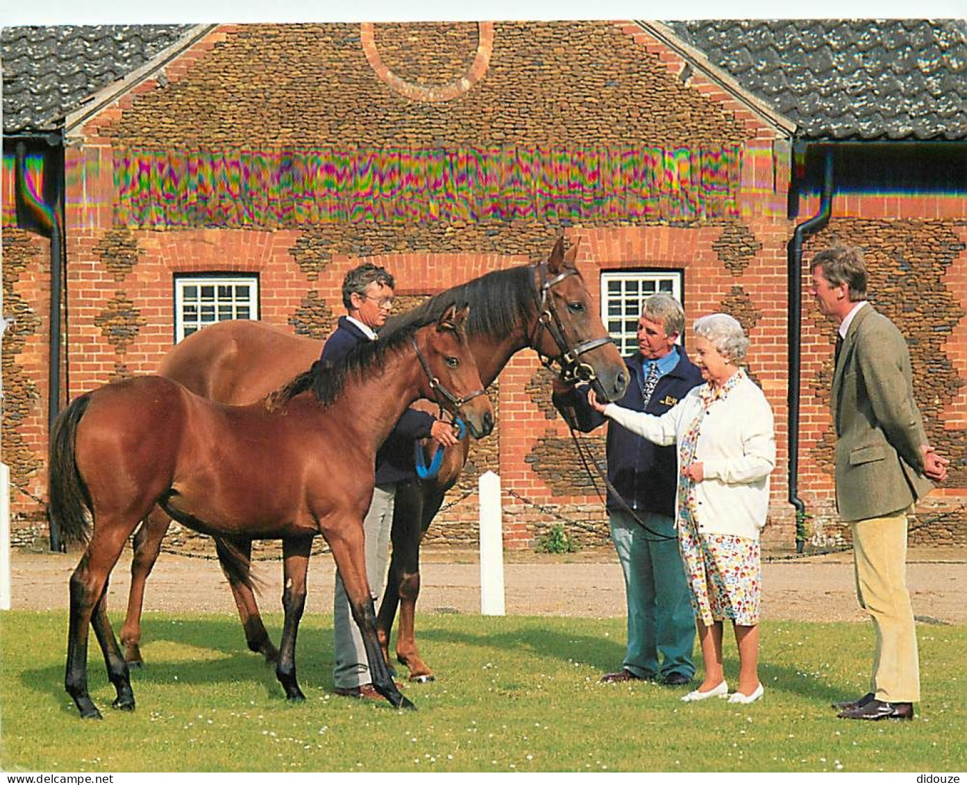 Format Spécial - 170 X 120 Mms - Animaux - Chevaux - Royaume-Uni - HM The Queen And Her Mare Rash Gift With Staff Of The - Horses
