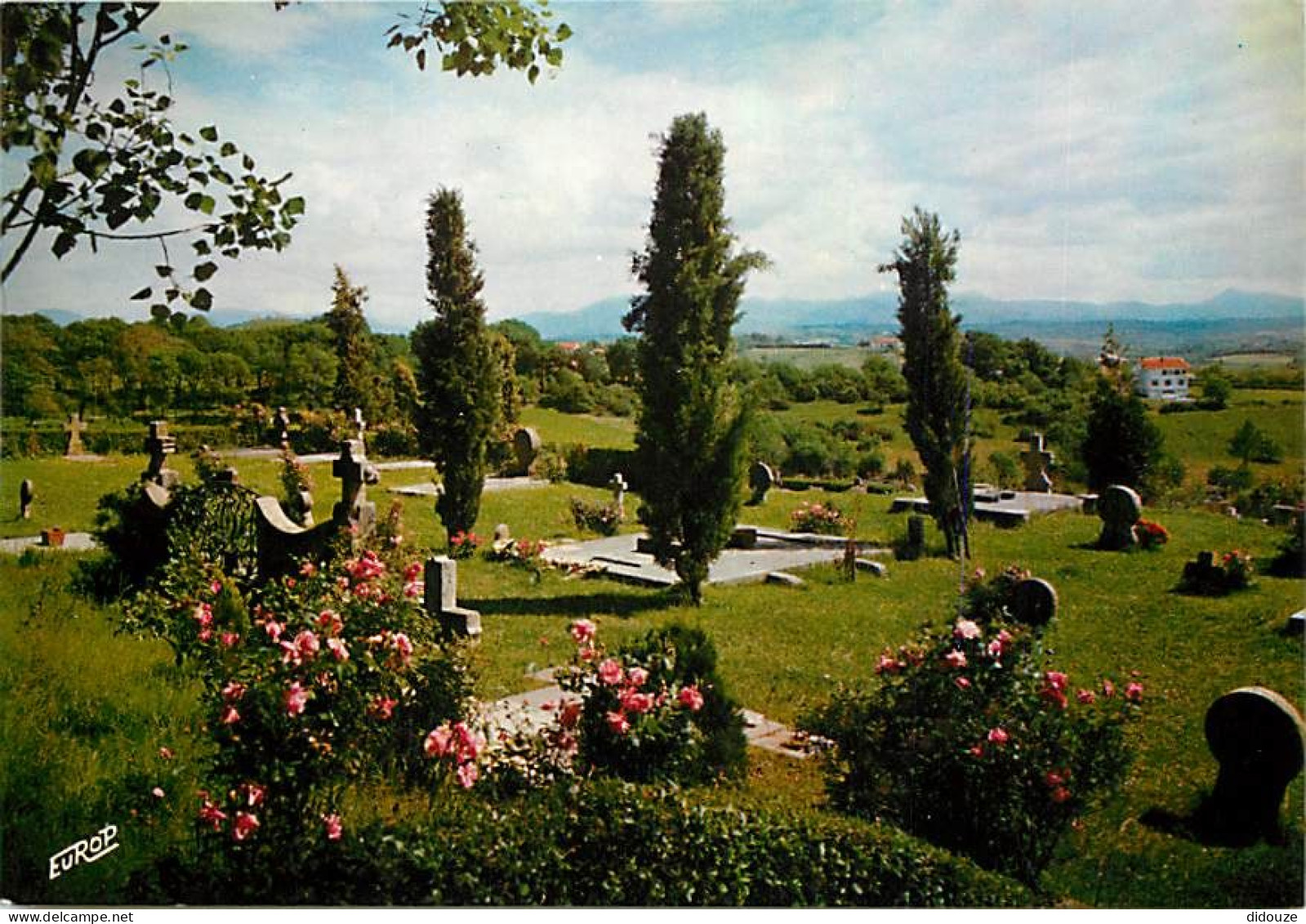 64 - Arcangues - Le Vieux Cimetière - Fleurs - Carte Neuve - CPM - Voir Scans Recto-Verso - Sonstige & Ohne Zuordnung