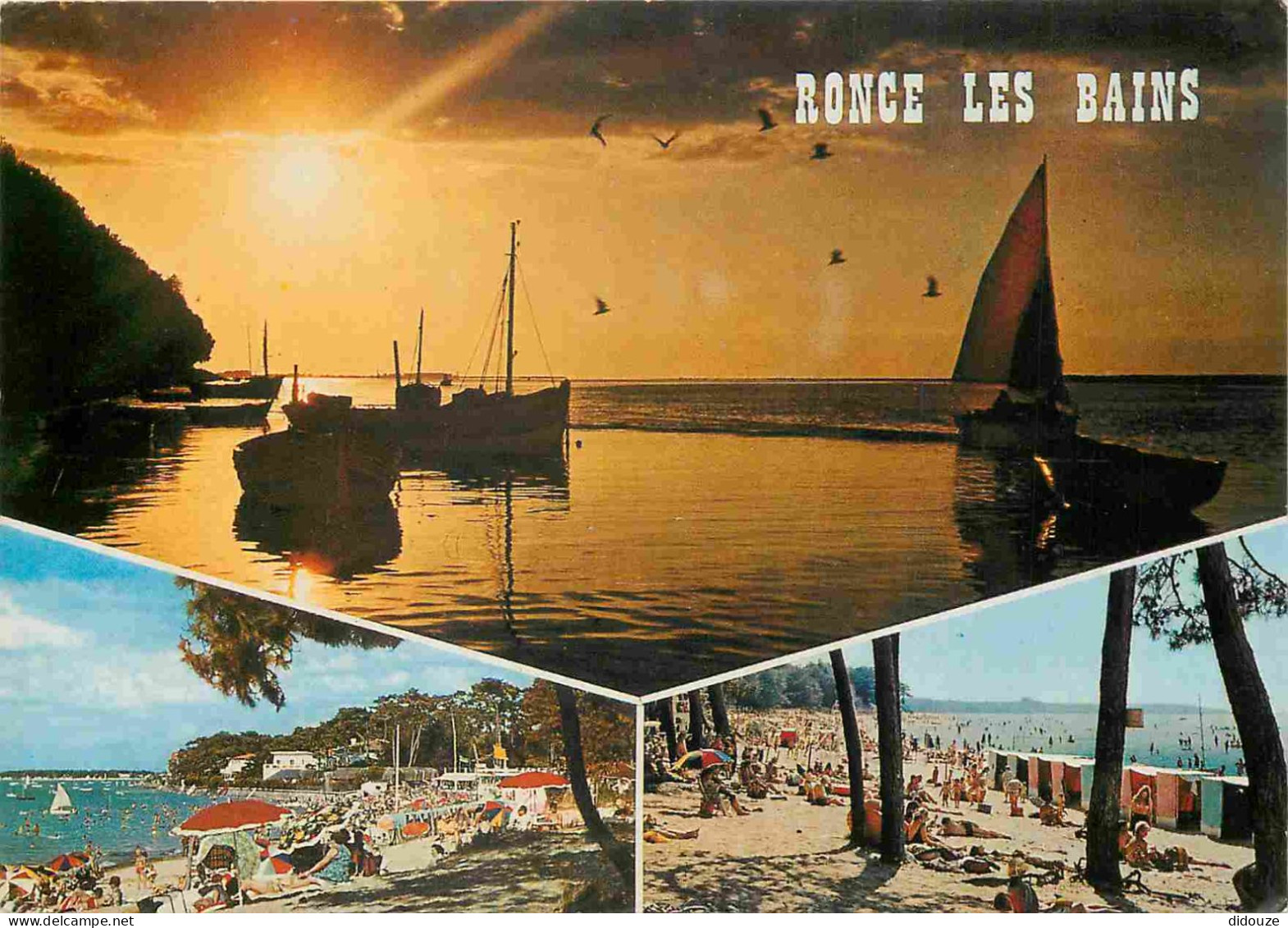 17 - Ronce Les Bains - Multivues - CPM - Voir Scans Recto-Verso - Sonstige & Ohne Zuordnung