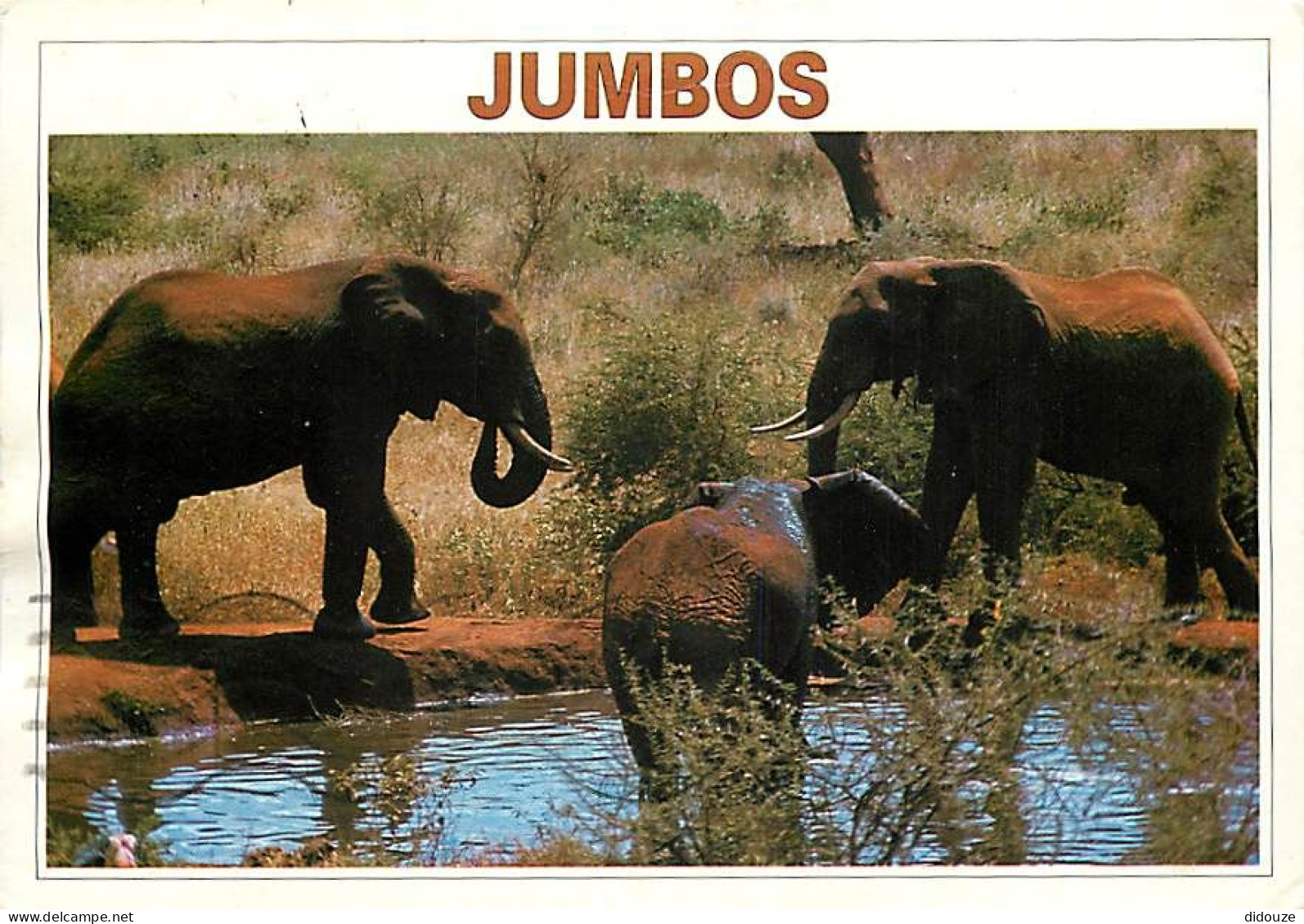 Animaux - Eléphants - Kenya - éléphanteau - Afrique Noire - CPM - Voir Scans Recto-Verso - Éléphants