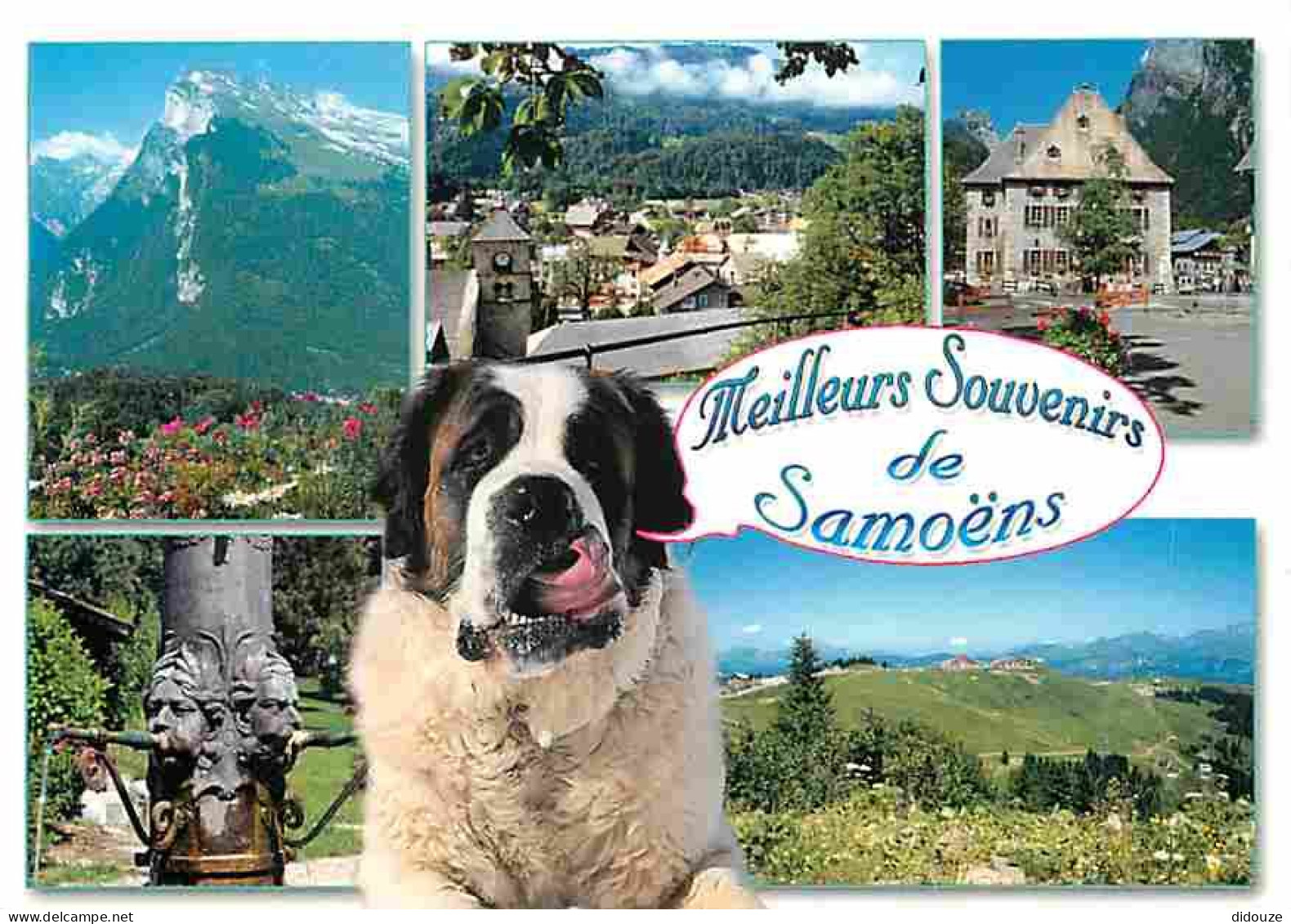 Animaux - Chiens - Saint Bernard - Samoens - Multivues - CPM - Voir Scans Recto-Verso - Honden