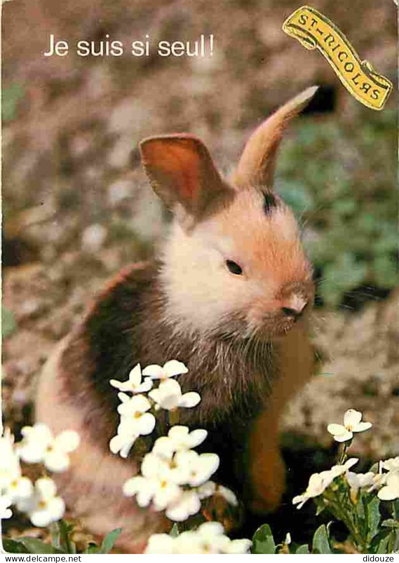 Animaux - Lapins - CPM - Voir Scans Recto-Verso - Sonstige & Ohne Zuordnung