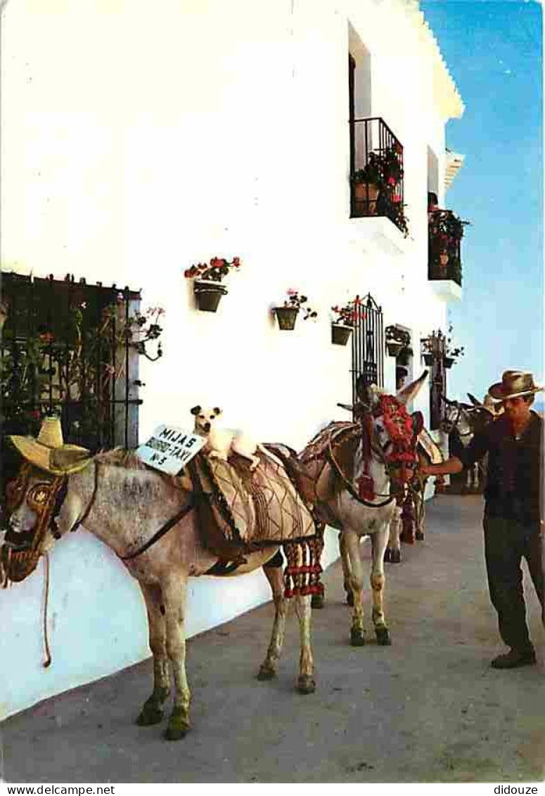 Animaux - Anes - Espagne - Costa Del Sol - Mijas - Parada Burro Taxi - Parade Burro Taxi - Carte Neuve - CPM - Voir Scan - Donkeys