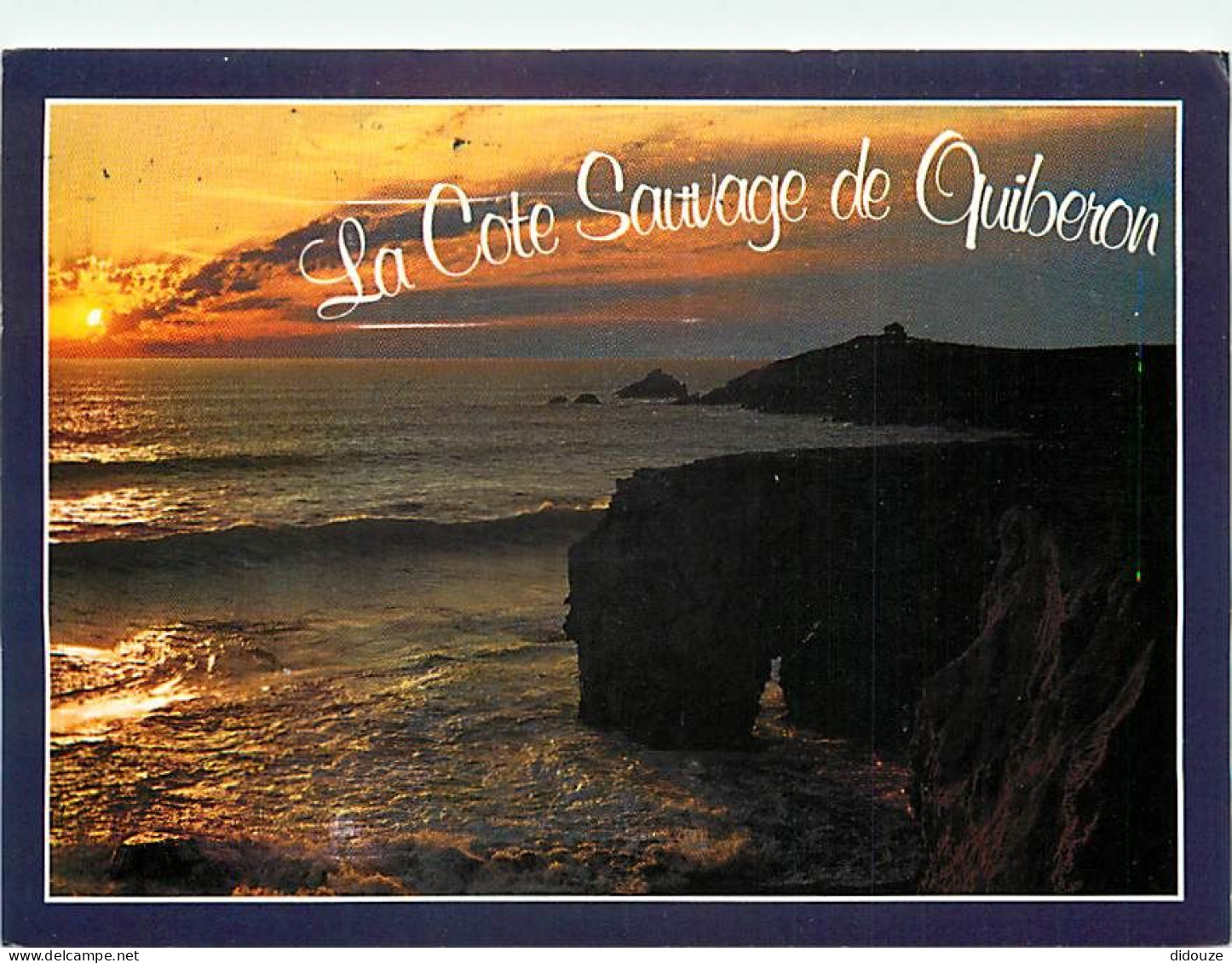 56 - Presqu'Ile De Quiberon - CPM - Voir Scans Recto-Verso - Quiberon