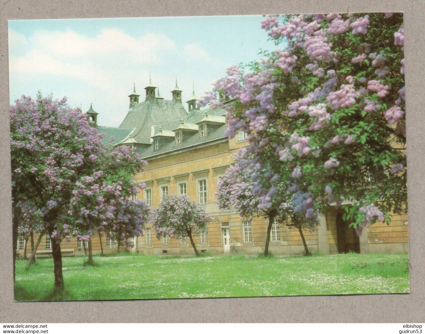 007} BRD - Dresden Schloß Pillnitz - 8 AK (alle im Bild) - Gondel, Schiff, Bergpalais