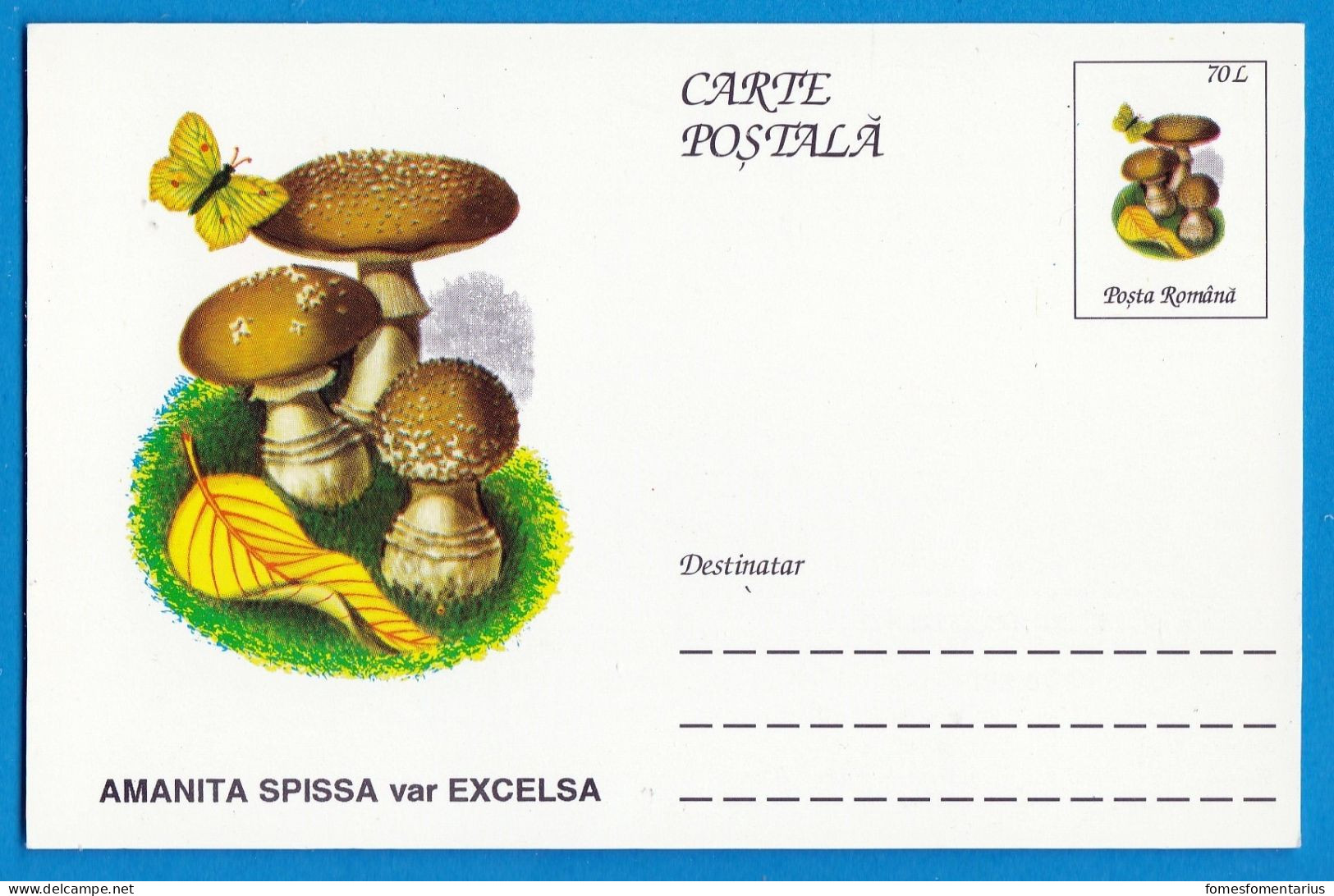 Entier Postal Neuf Roumain édition Luxe Glacé Brillant N° 083 Série 891/1000 Champignon  Mushroom Champignons Pilze - Pilze