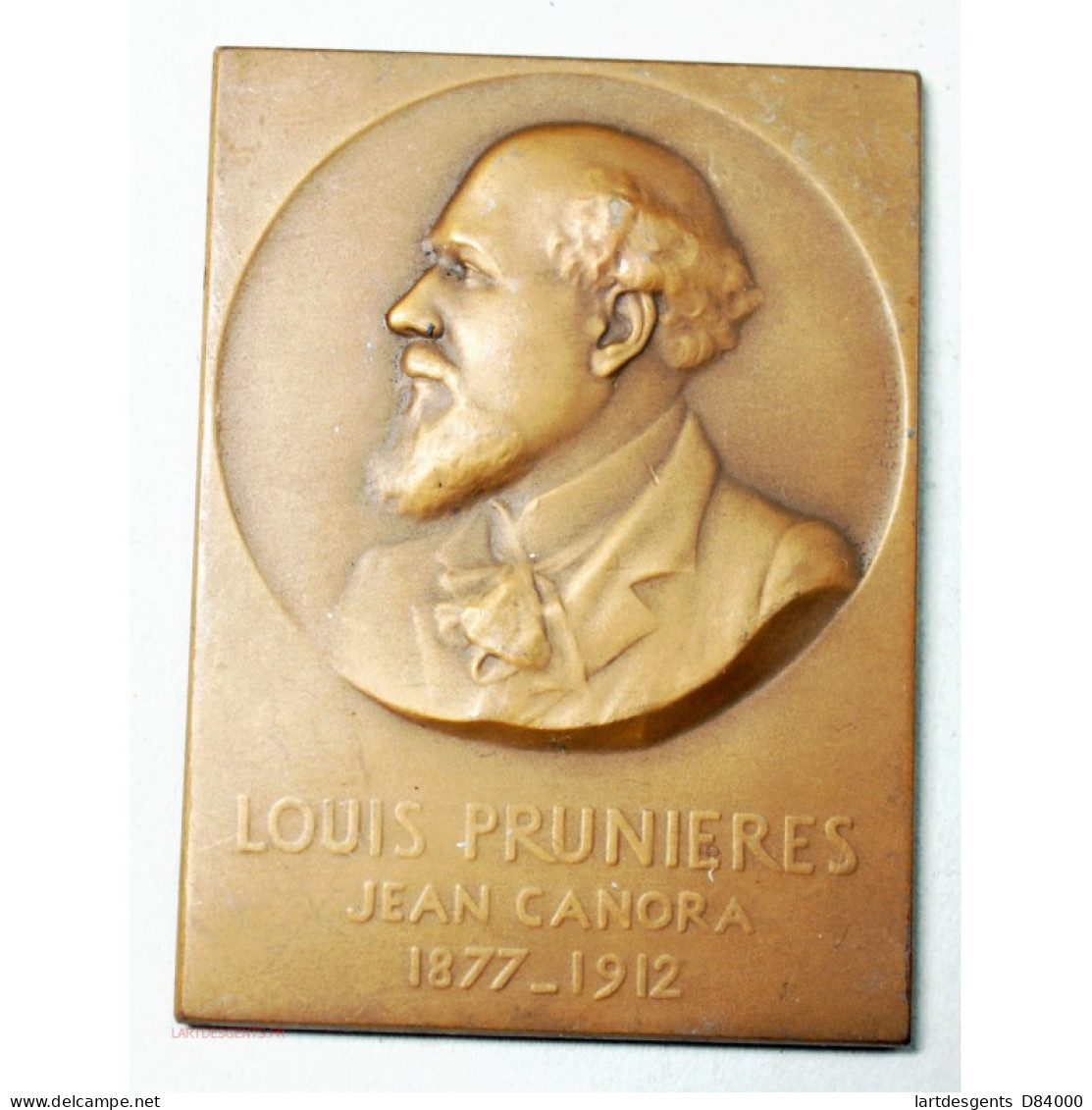 Medaille Plaque Louis PRUNIERES Jean CANORA,  Poète Lyrique Par E.BRECHOT - Professionnels/De Société