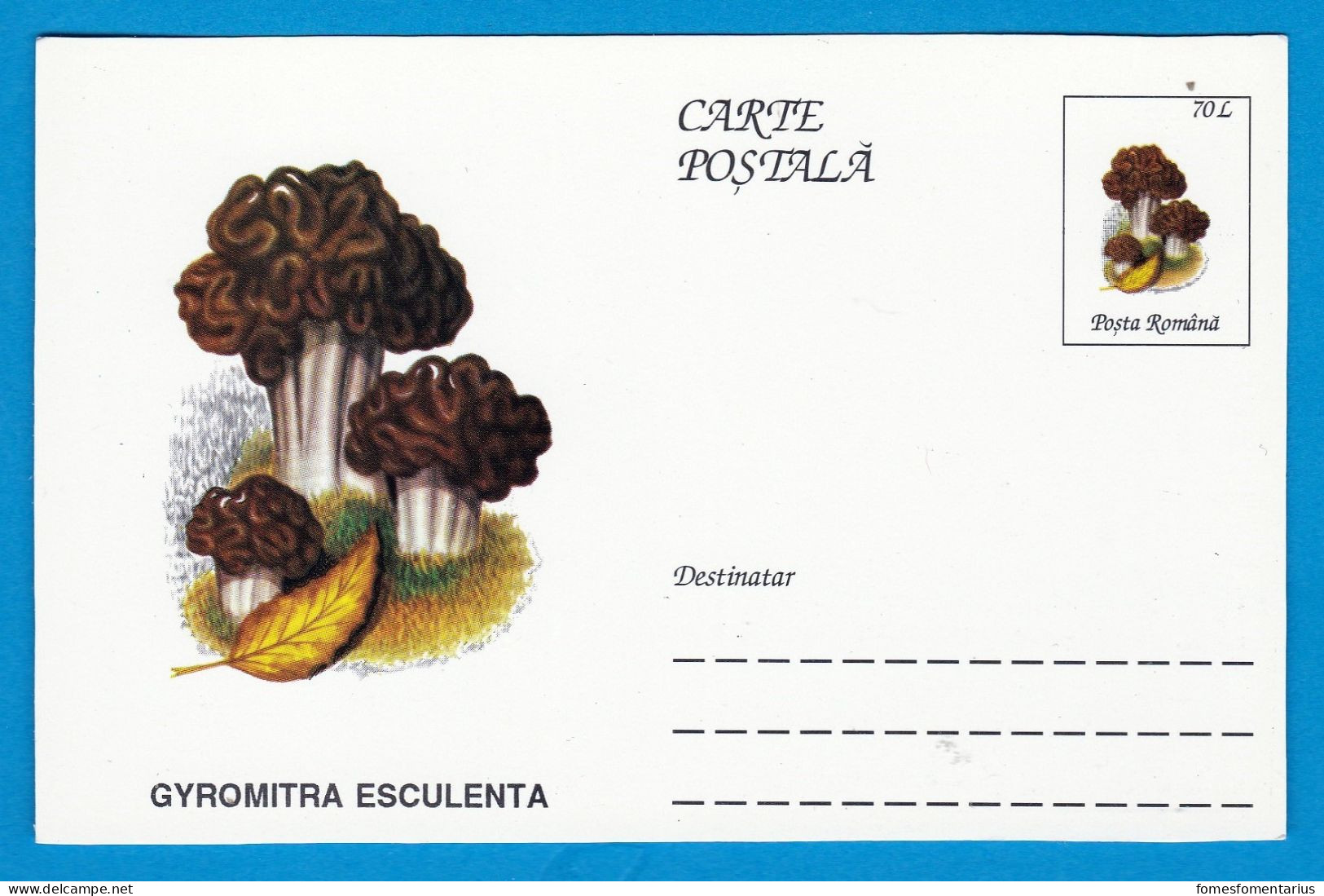 Entier Postal Neuf Roumain édition Luxe Glacé Brillant N° 090 Série 891/1000 Champignon  Mushroom Champignons Pilze - Champignons