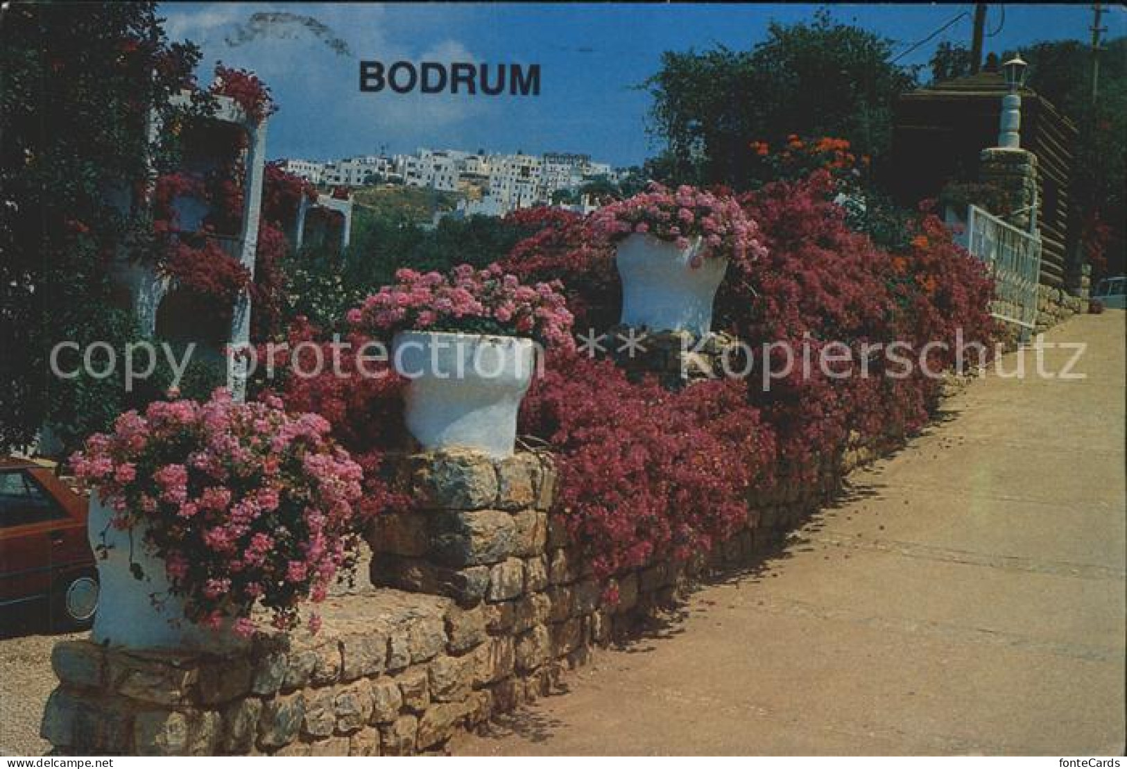 71949908 Bodrum  Bodrum - Turkey