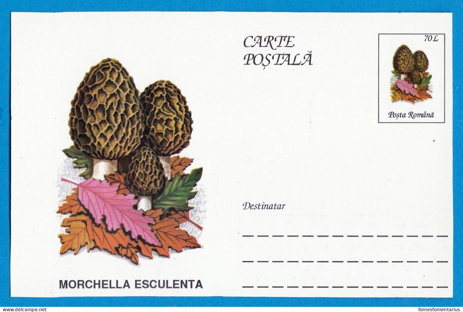 Entier Postal Neuf Roumain édition Luxe Glacé Brillant N° 093 Série 891/1000 Champignon  Mushroom Champignons Pilze - Mushrooms