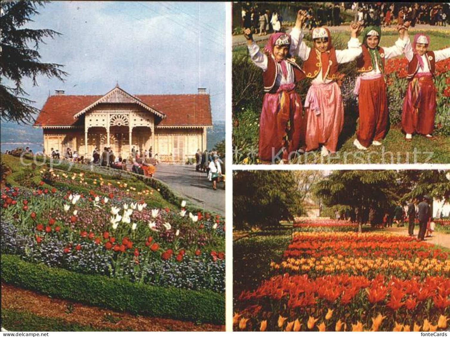 71949882 Istanbul Constantinopel Festival Tulips Emirgan Wood  - Turkey