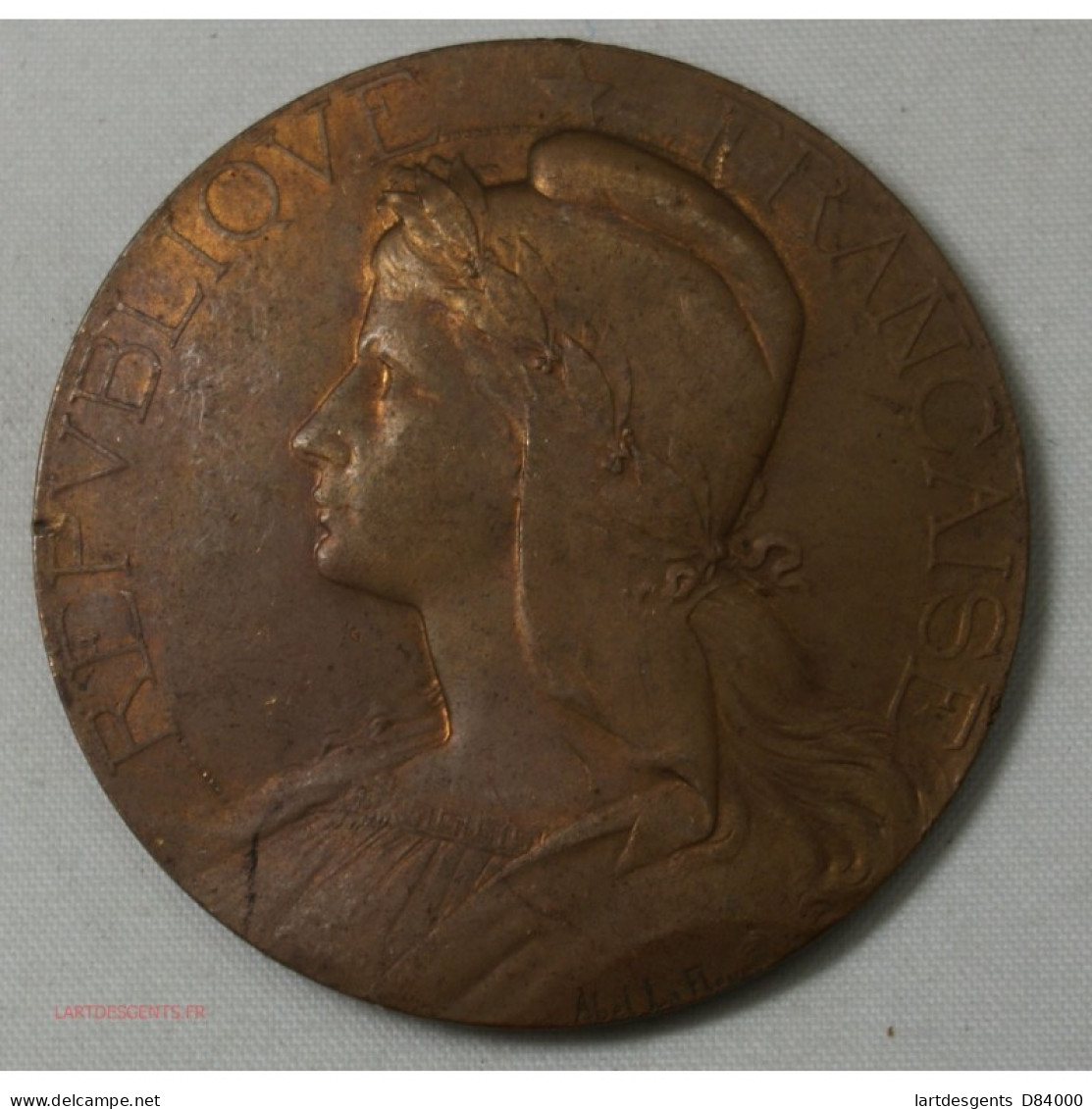 Médaille Bronze , Agriculture Par Abel La Fleur 46mm - Professionnels/De Société