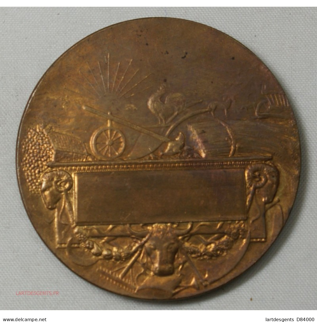 Médaille Bronze , Agriculture Par Abel La Fleur 46mm - Firmen