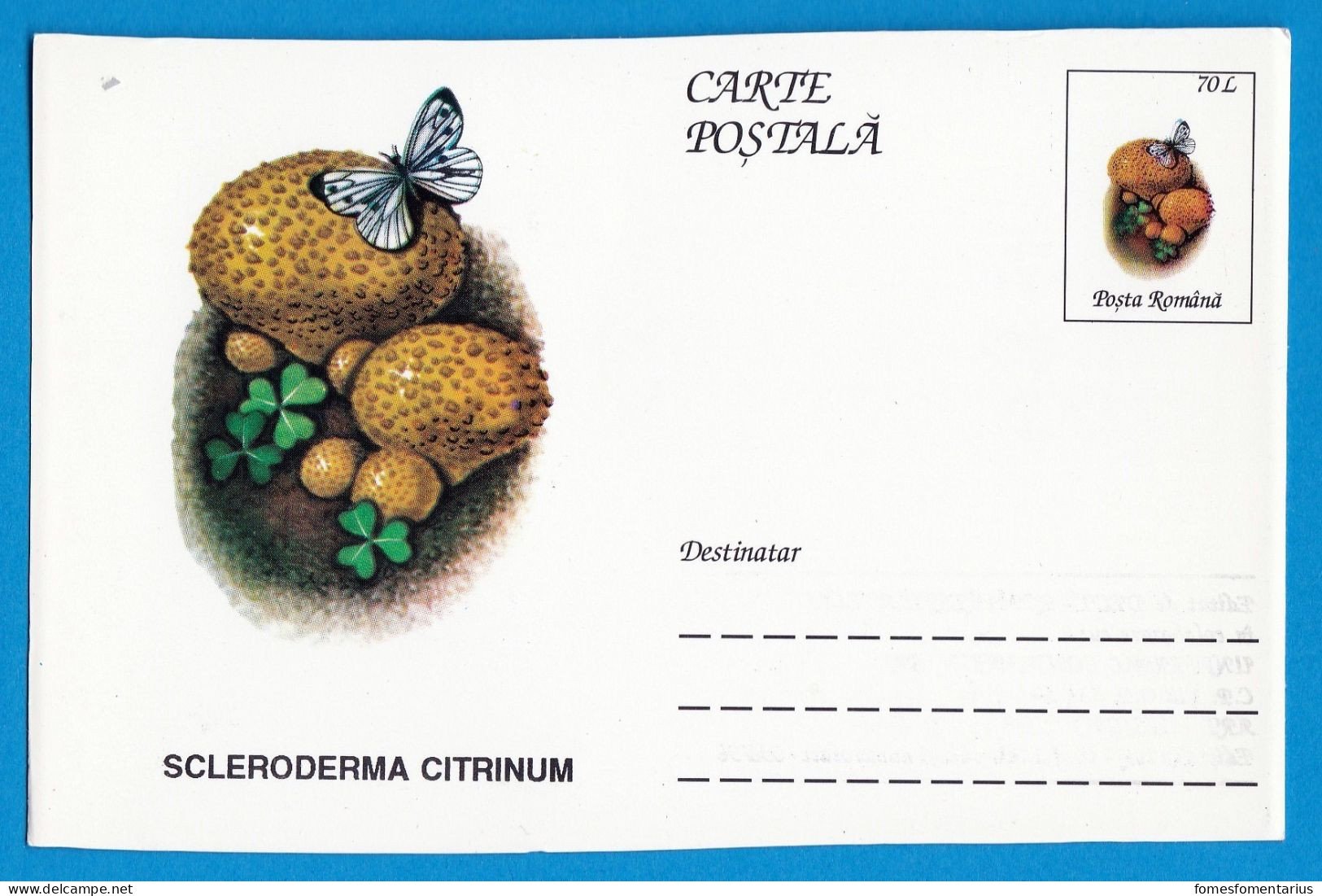 Entier Postal Neuf Roumain édition Luxe Glacé Brillant N° 098 Série 891/1000 Champignon  Mushroom Champignons Pilze - Mushrooms