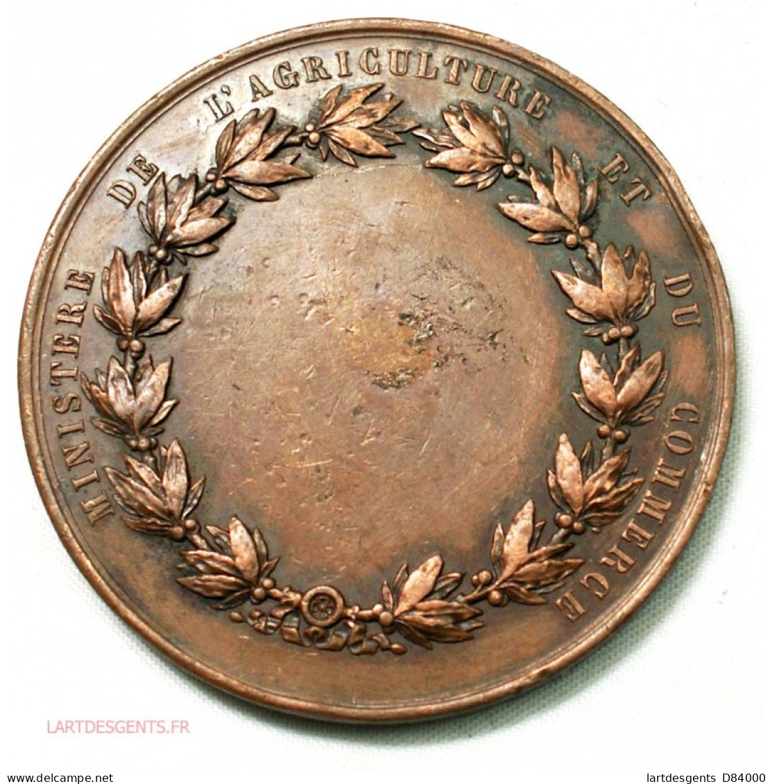 Médaille Exposition De VIENNE 1873 Par CAQUE, Lartdesgents - Professionnels/De Société