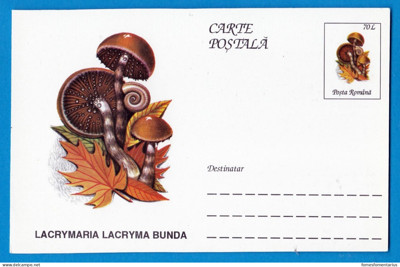 Entier Postal Neuf Roumain édition Luxe Glacé Brillant N° 092 Série 891/1000 Champignon  Mushroom Champignons Pilze - Funghi