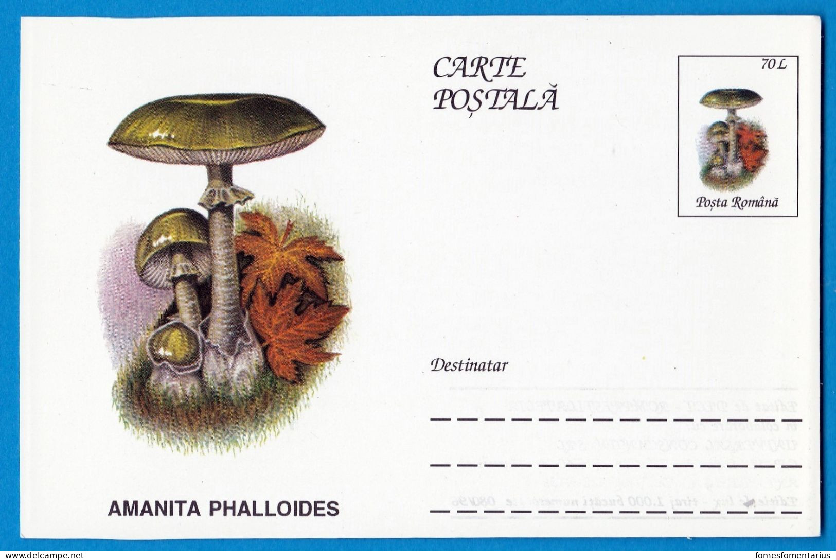 Entier Postal Neuf Roumain édition Luxe Glacé Brillant N° 080 Série 891/1000 Champignon  Mushroom Champignons Pilze - Paddestoelen