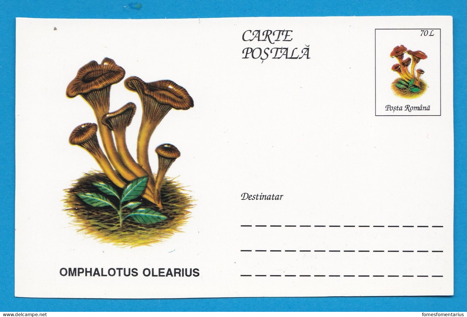 Entier Postal Neuf Roumain édition Luxe Glacé Brillant N° 095 Série 891/1000 Champignon  Mushroom Champignons Pilze - Mushrooms