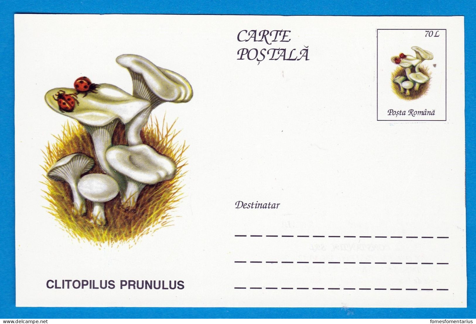 Entier Postal Neuf Roumain édition Luxe Glacé Brillant N° 086 Série 891/1000 Champignon  Mushroom Champignons Pilze - Paddestoelen