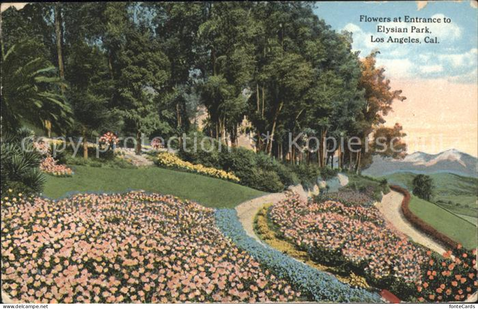 71897203 Los_Angeles_California Flowers Entrance Elysian Park - Altri & Non Classificati