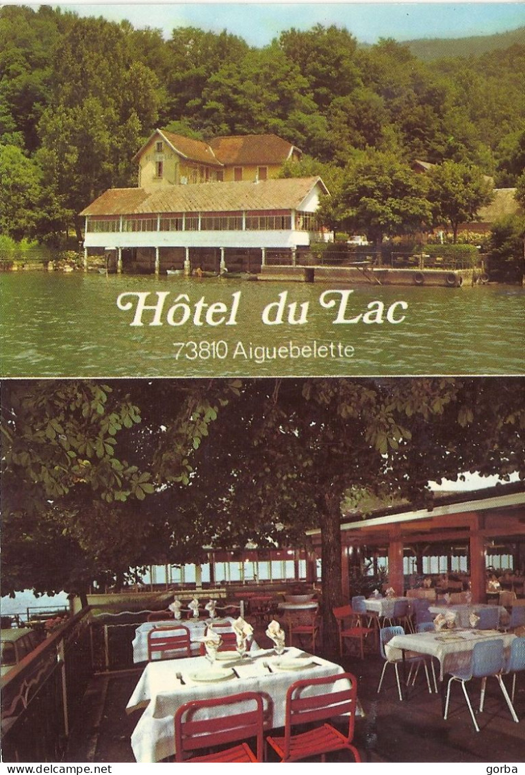 *CPM - 73 - AIGUEBELETTE - Hôtel Du Lac Et Le Restaurant - Aiguebelle