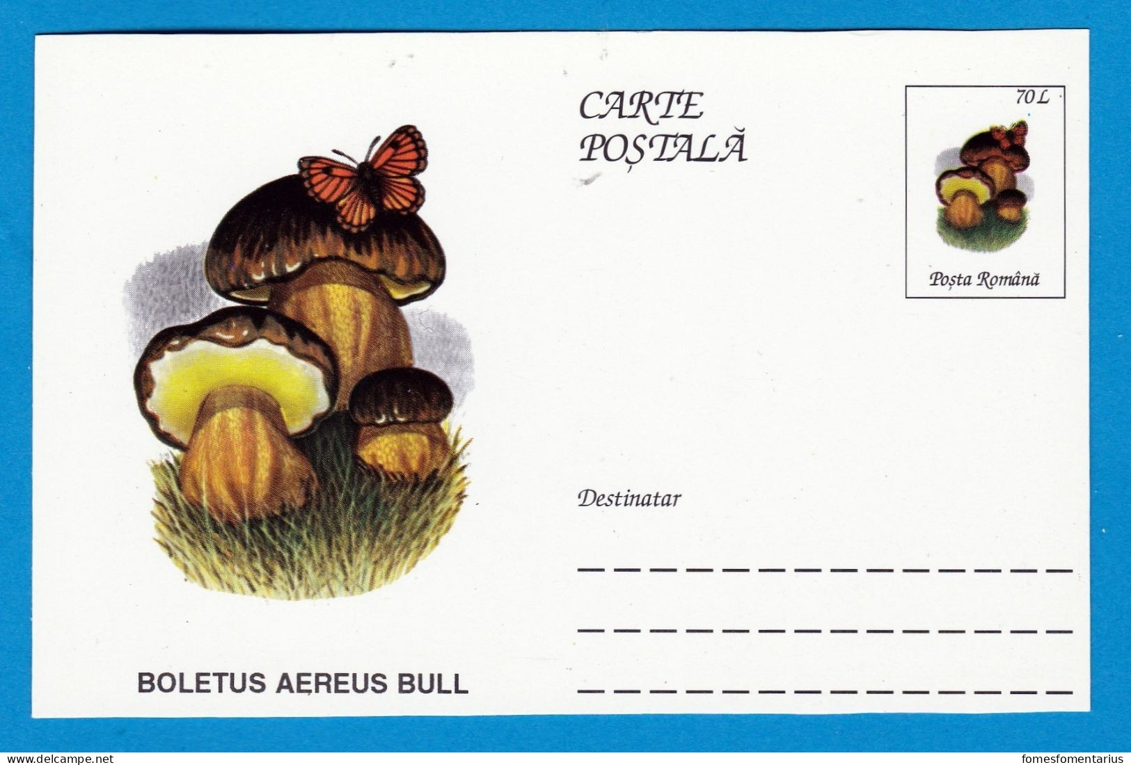 Entier Postal Neuf Roumain édition Luxe Glacé Brillant N° 084 Série 891/1000 Champignon  Mushroom Champignons Pilze - Paddestoelen