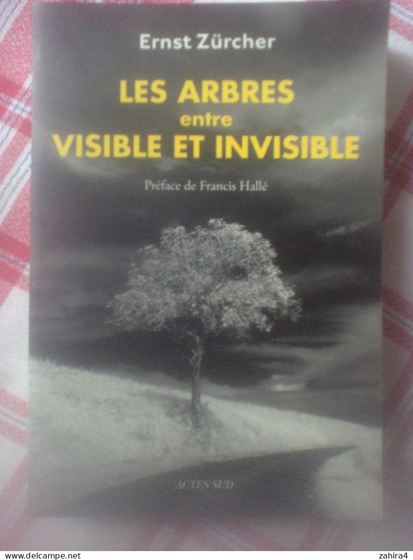 Arbres - Ernst Zürcher Les Arbres Entre Visible Et Invisible Préface Francis Hallé - Actes Sud Superbe Photos Dessins - Natur