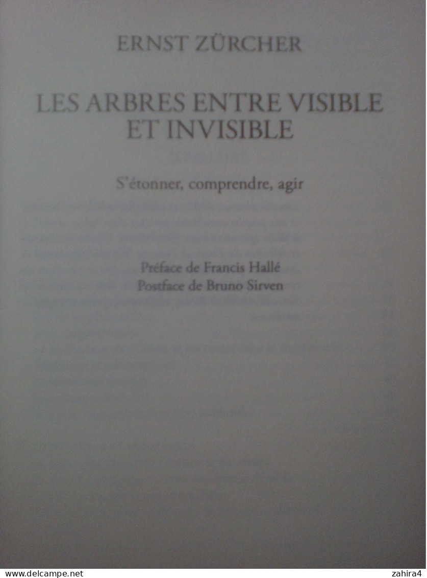 Arbres - Ernst Zürcher Les Arbres Entre Visible Et Invisible Préface Francis Hallé - Actes Sud Superbe Photos Dessins - Nature