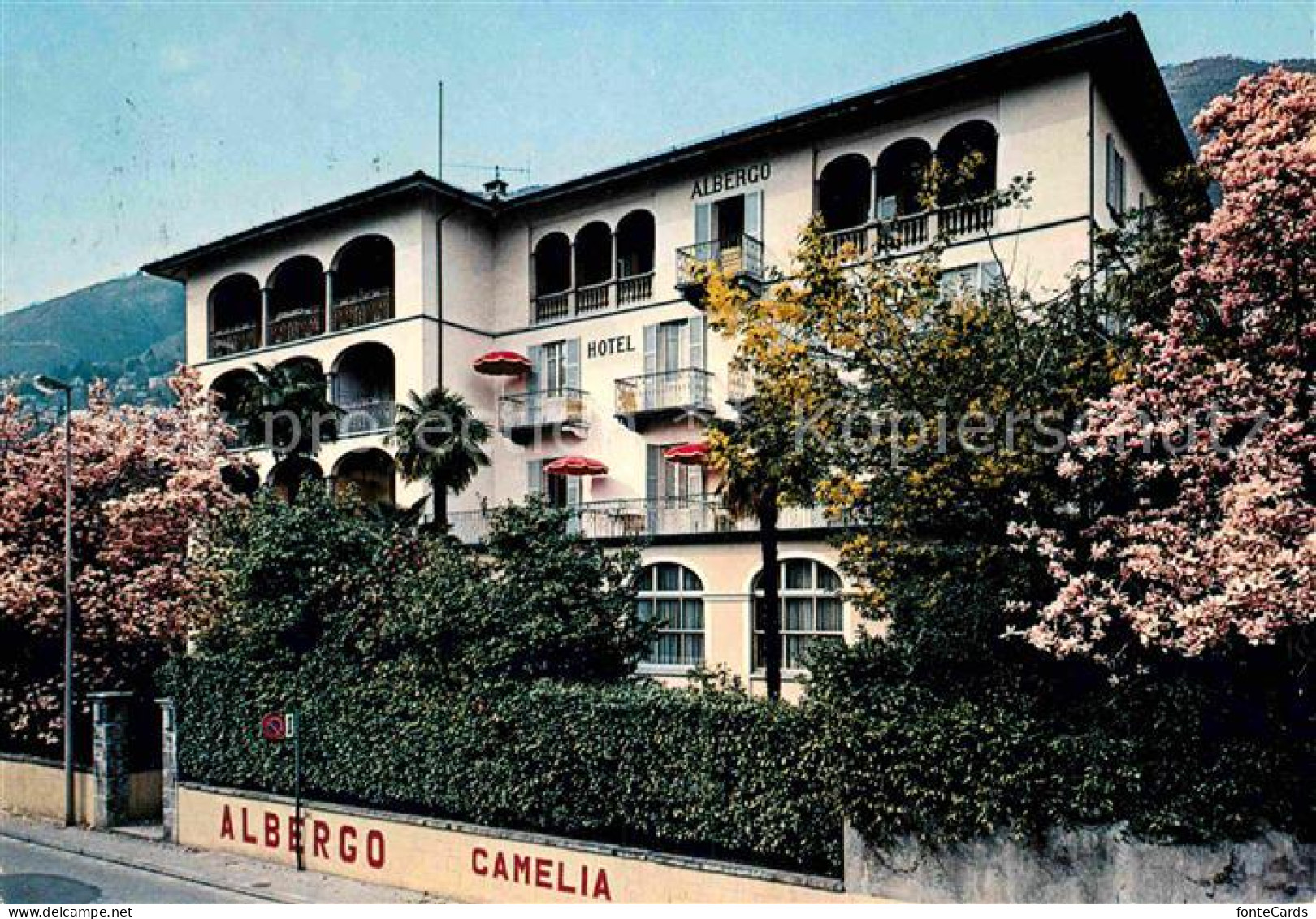 32626979 Muralto TI Hotel Carmelia Muralto - Autres & Non Classés
