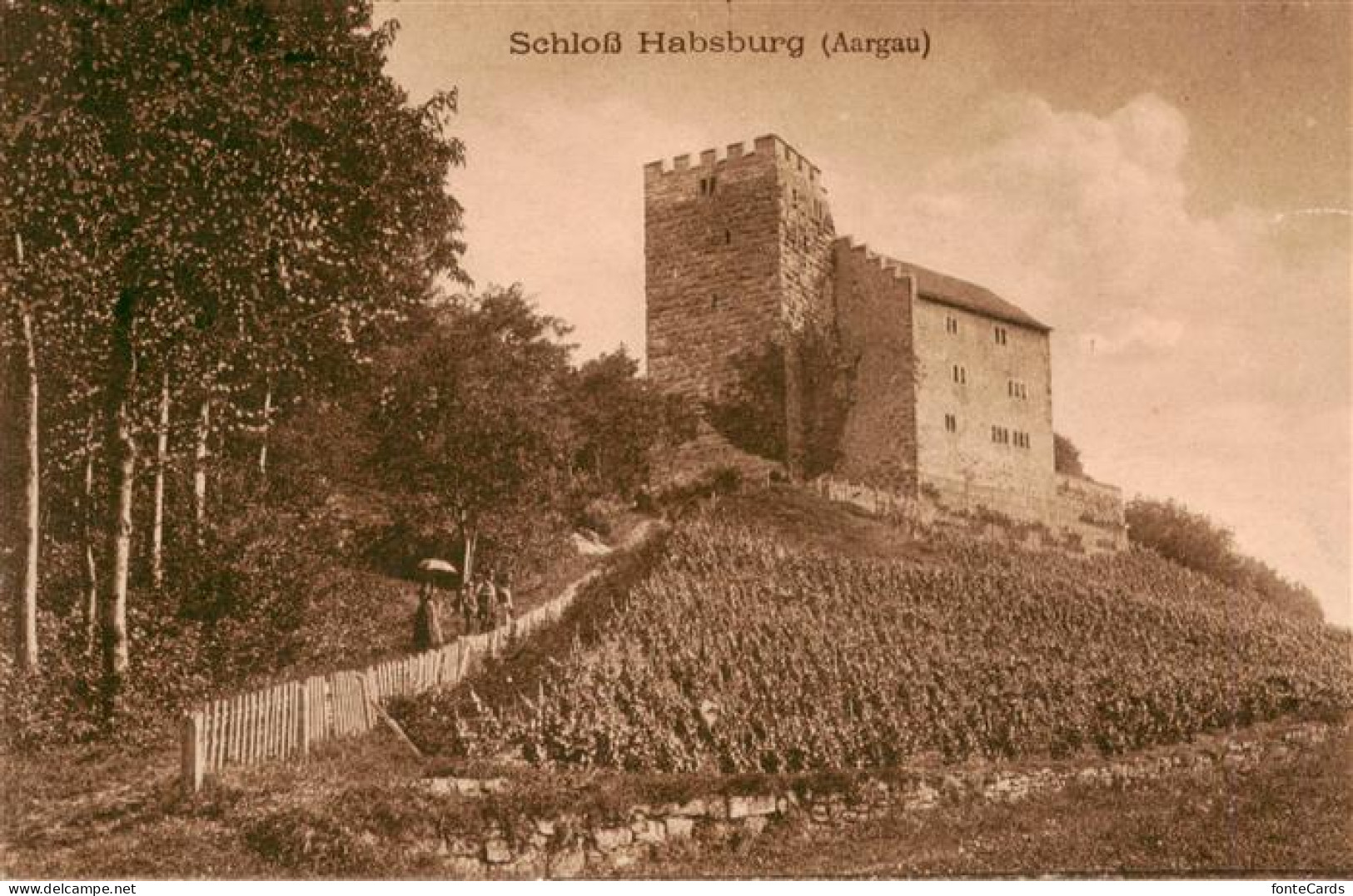 13956026 Habsburg_Schloss_AG Blick Zum Schloss - Andere & Zonder Classificatie