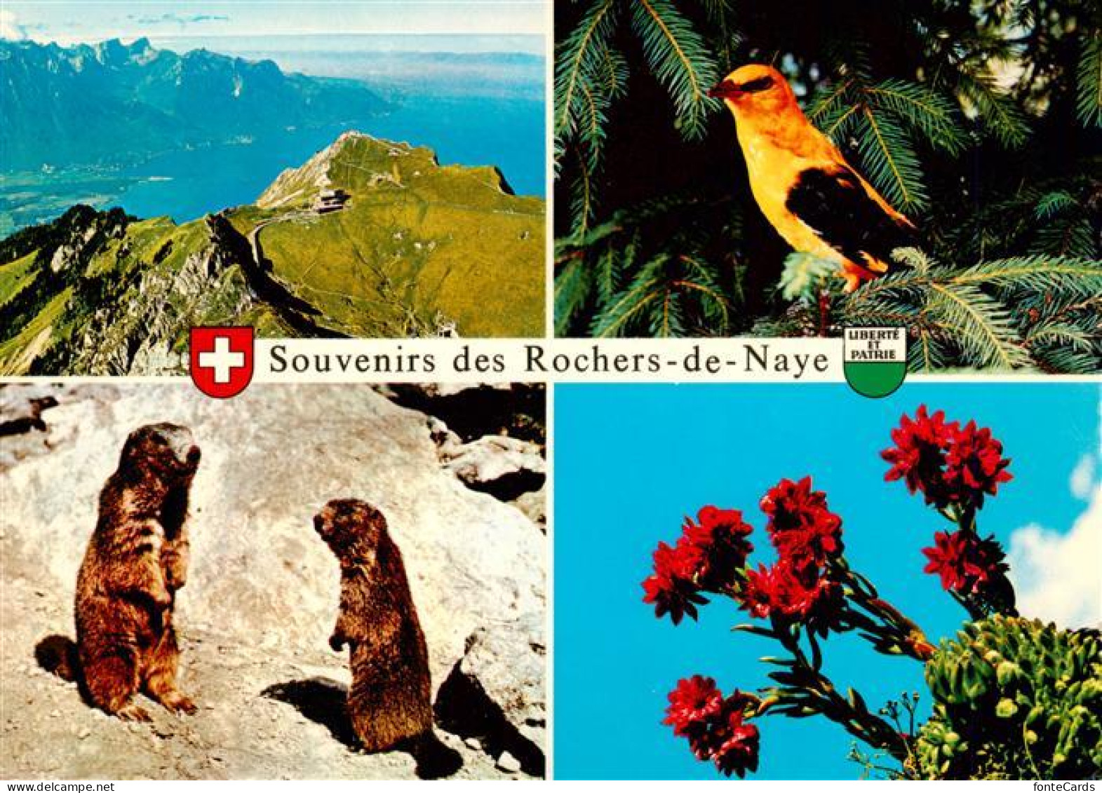 13955650 Rochers_de_Naye_VD Vue Aerienne Sur Montreux Vue D'ensemble - Autres & Non Classés