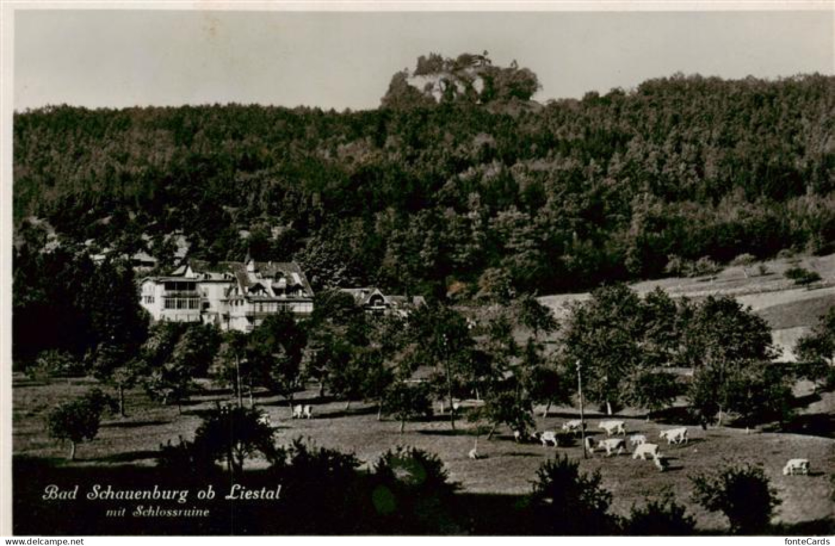 13955535 Bad_Schauenburg Panorama Mit Schlossruine - Sonstige & Ohne Zuordnung