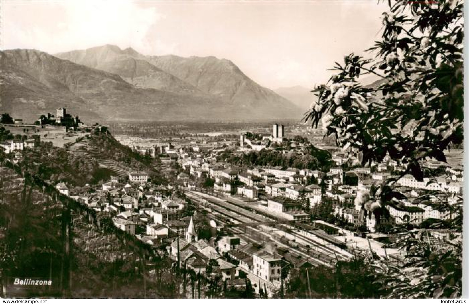 13955522 Bellinzona_TI Panorama - Autres & Non Classés