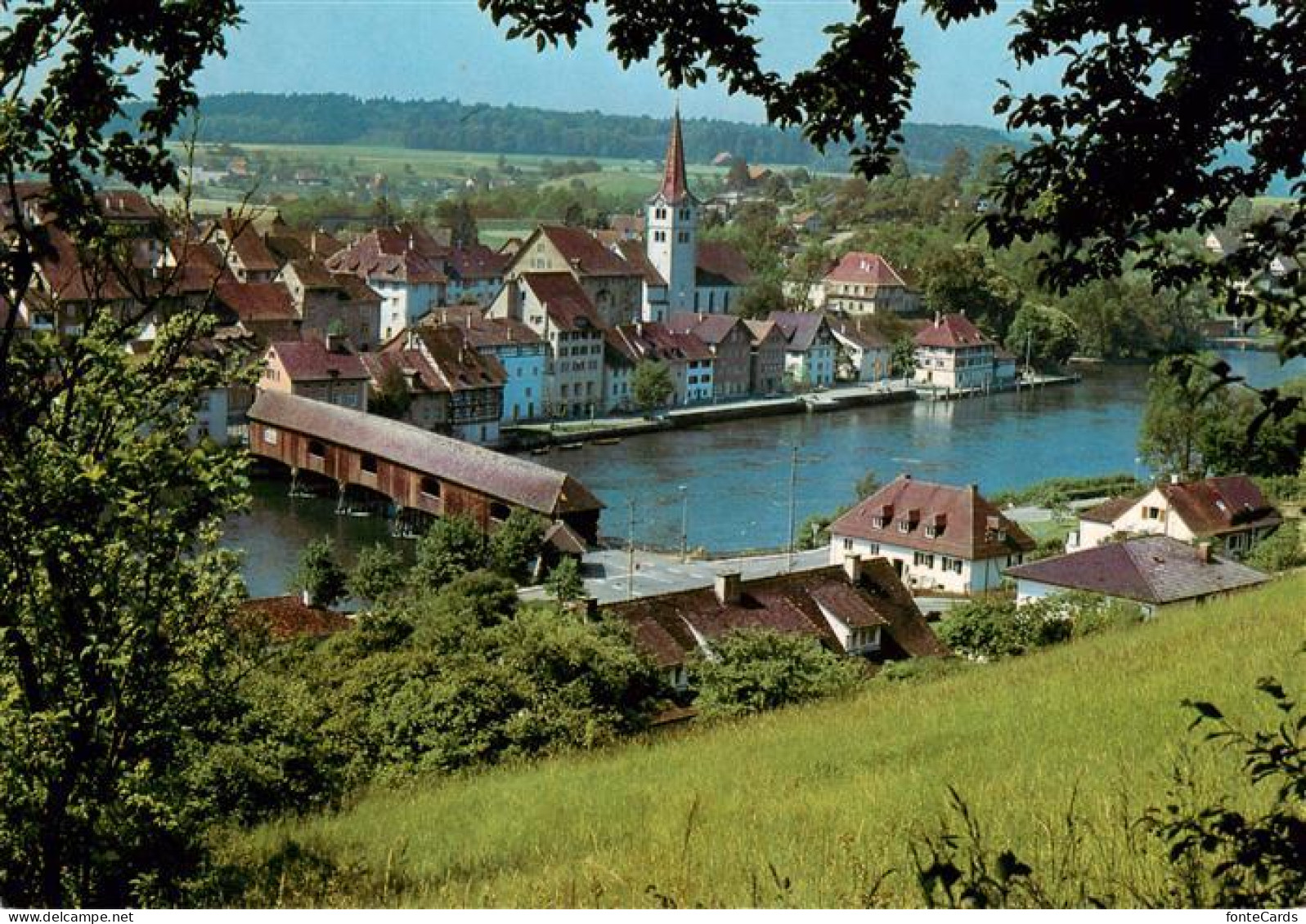 13926688 Diessenhofen_TG Blick Vom Gailinger Hang Auf Den Hochrhein - Autres & Non Classés