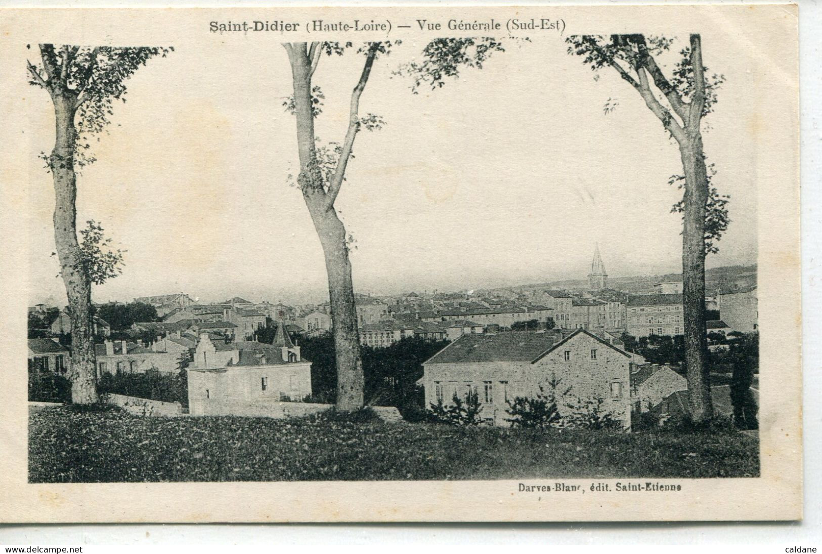 -43-HAUTE-LOIRE .- SAINT-DIDIER -  Vue. Generale - Saint Didier En Velay