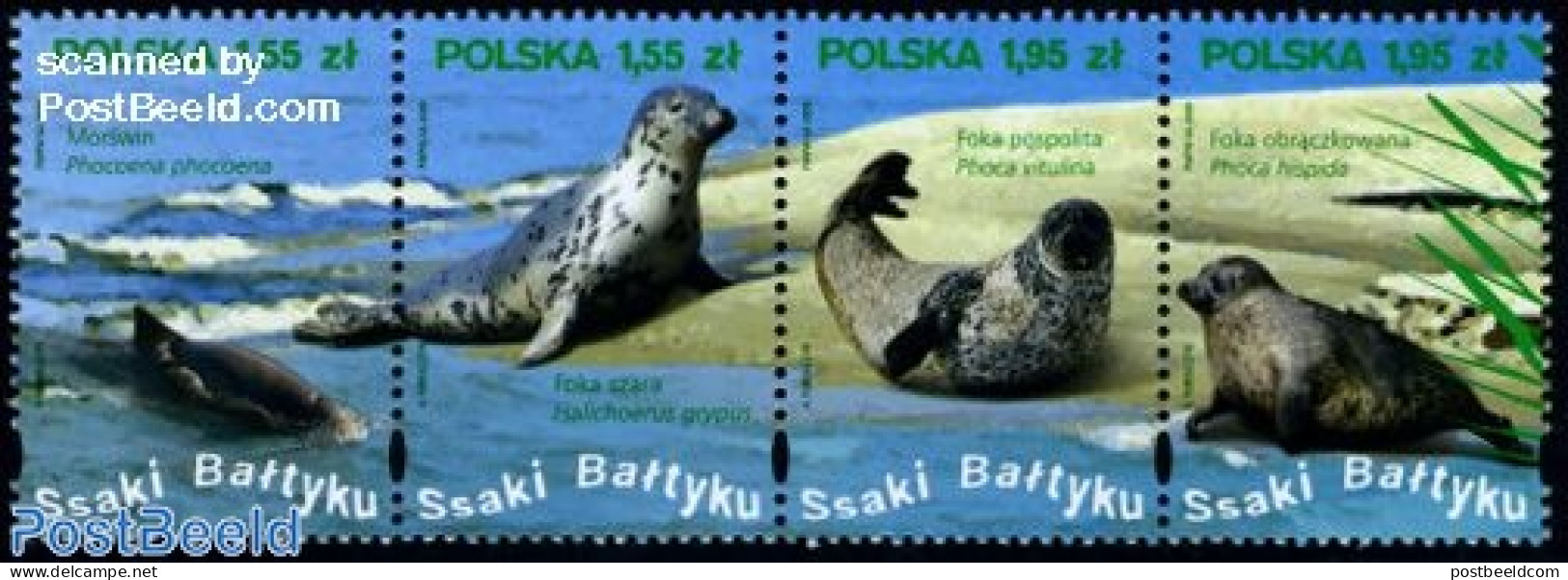 Poland 2009 Baltic Sea Mammals 4v [:::], Mint NH, Nature - Animals (others & Mixed) - Sea Mammals - Nuevos