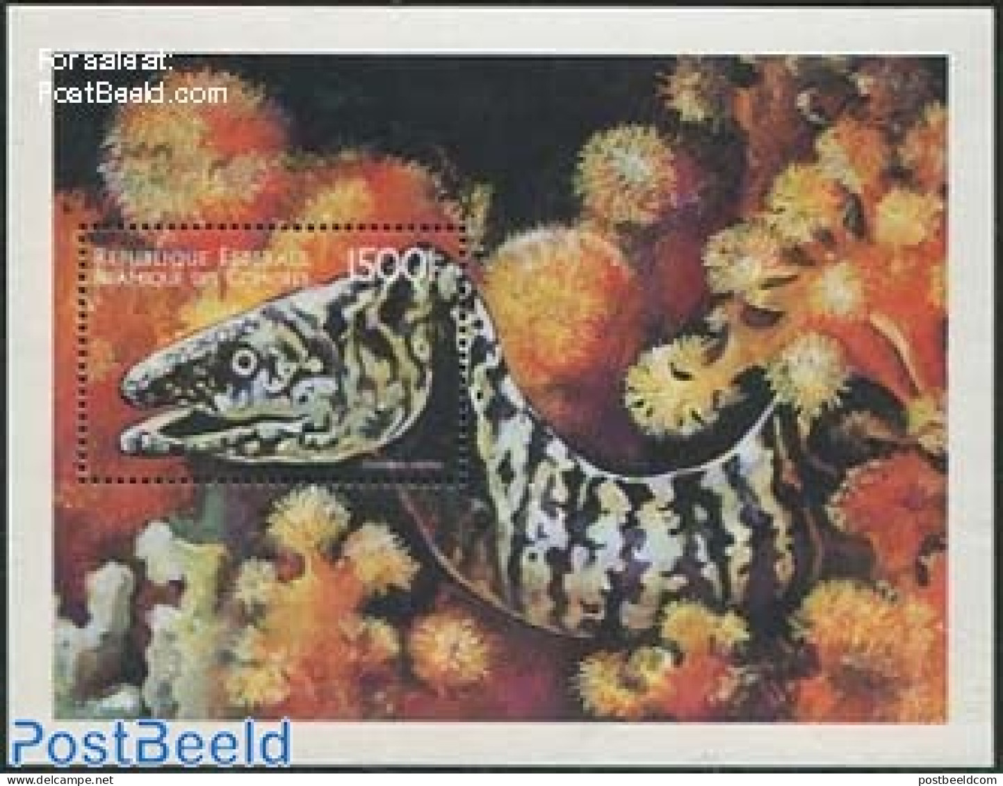 Comoros 1999 Zebra Murane S/s, Mint NH, Nature - Fish - Fische