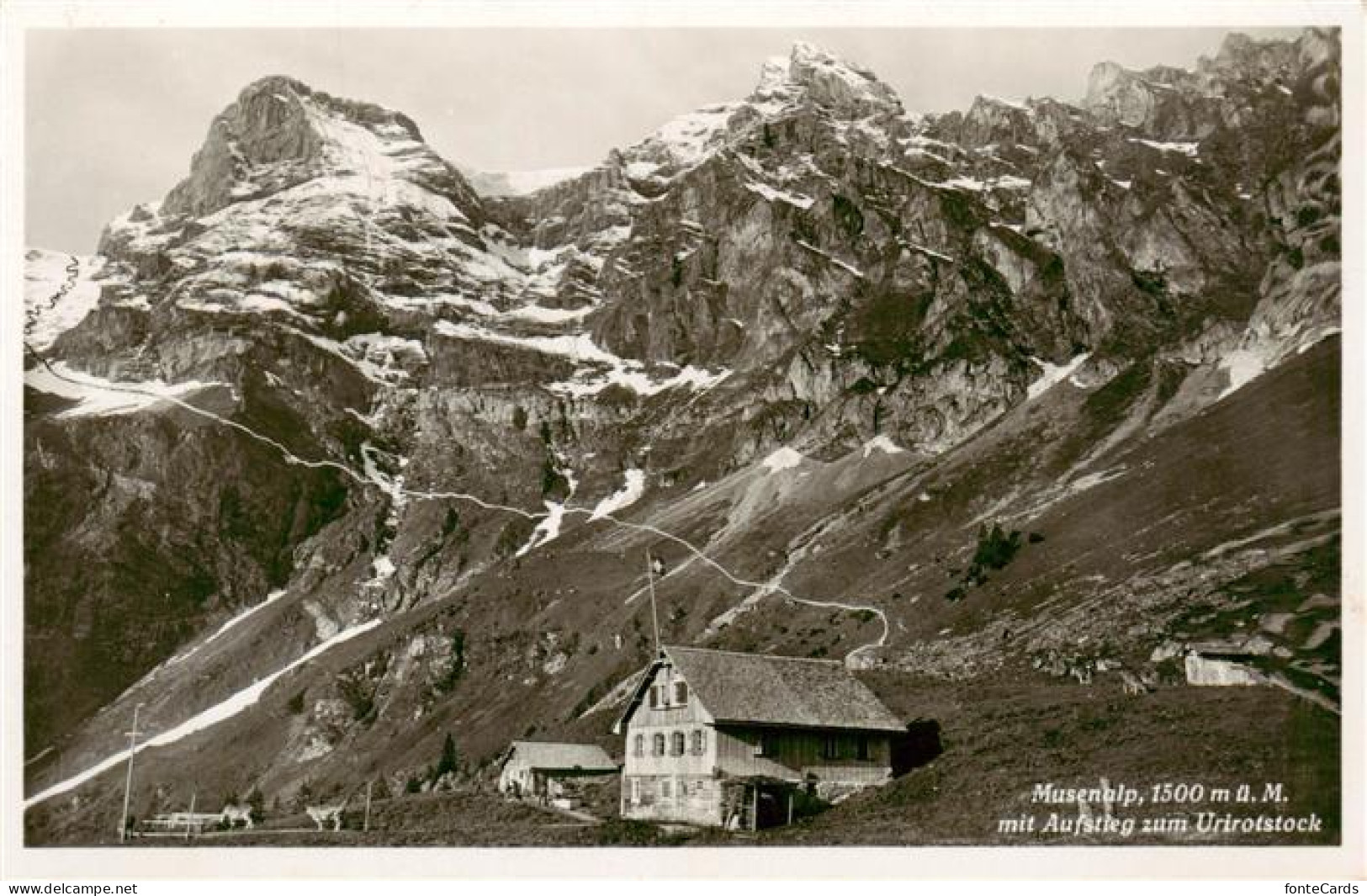 13915869 Musenalp_1500m_NW Mit Aufstieg Zum Urirotstock - Autres & Non Classés