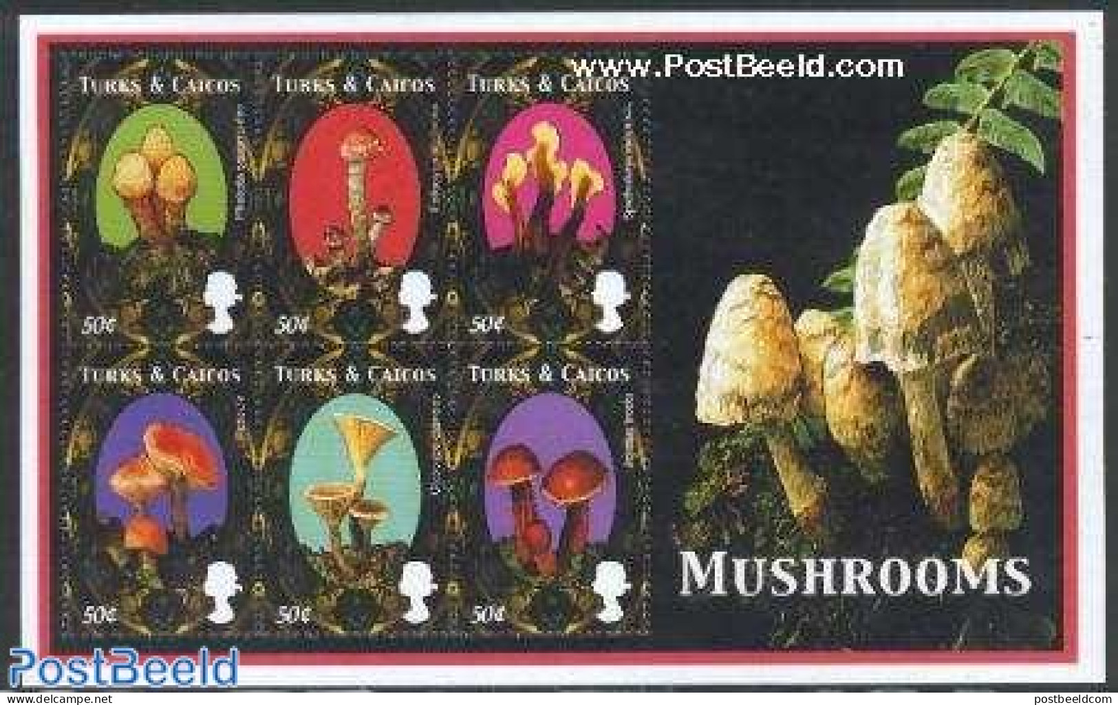 Turks And Caicos Islands 2000 Mushrooms 6v M/s, Mint NH, Nature - Mushrooms - Paddestoelen