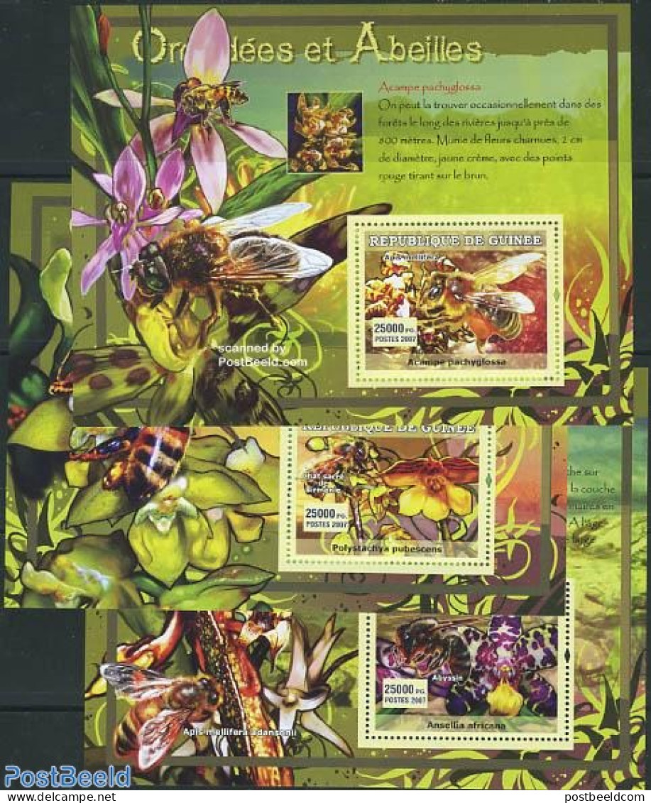 Guinea, Republic 2007 Orchids & Bees 3 S/s, Mint NH, Nature - Bees - Flowers & Plants - Insects - Orchids - Andere & Zonder Classificatie