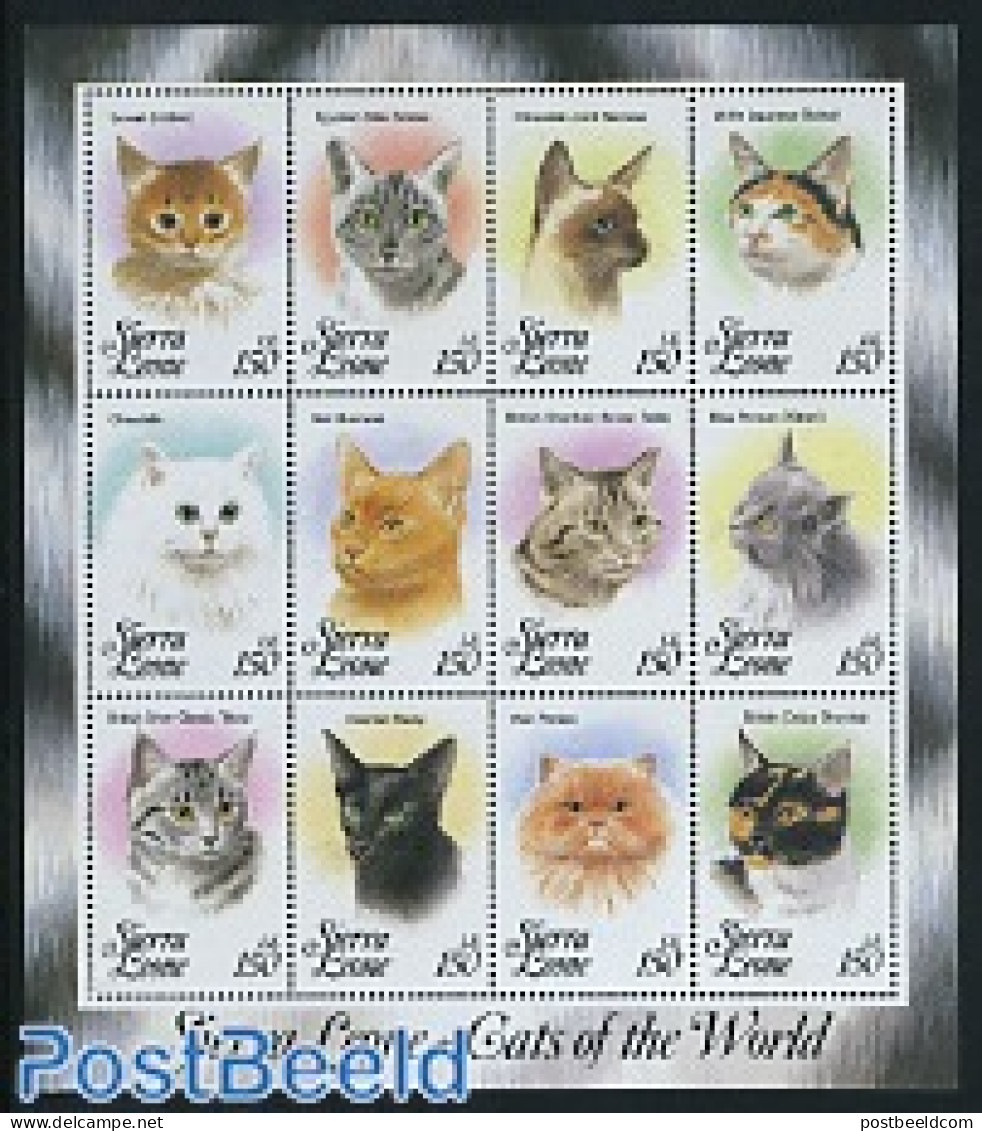 Sierra Leone 1993 Cats 12v M/s, Mint NH, Nature - Cats - Andere & Zonder Classificatie