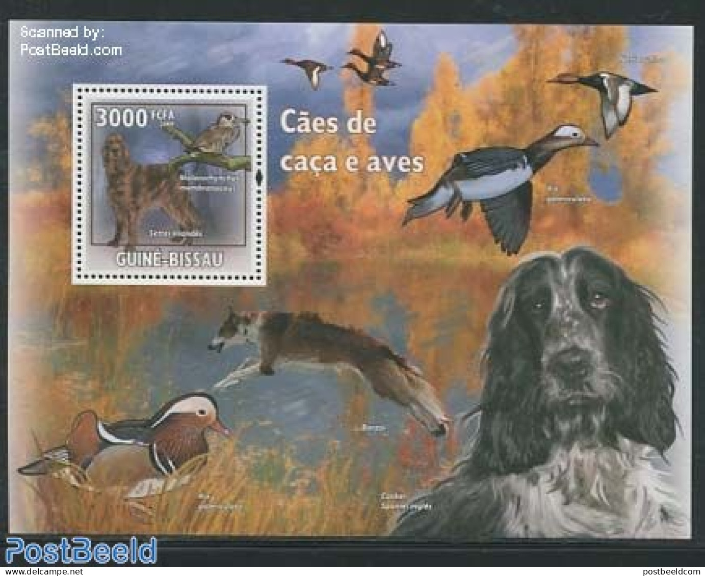 Guinea Bissau 2009 Dogs & Birds S/s, Mint NH, Nature - Birds - Dogs - Guinée-Bissau