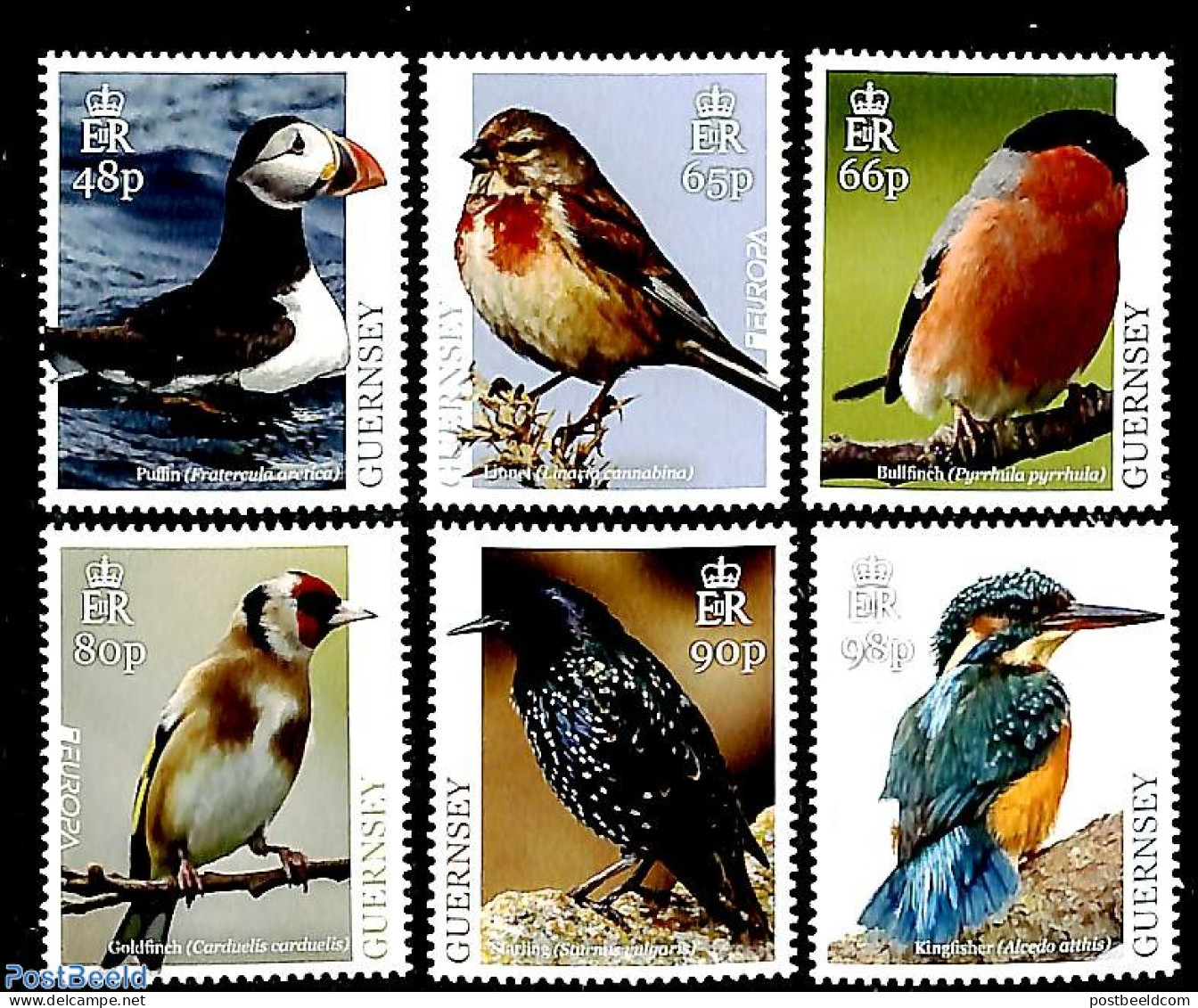 Guernsey 2019 Birds 6v, Mint NH, History - Nature - Europa (cept) - Birds - Kingfishers - Guernsey