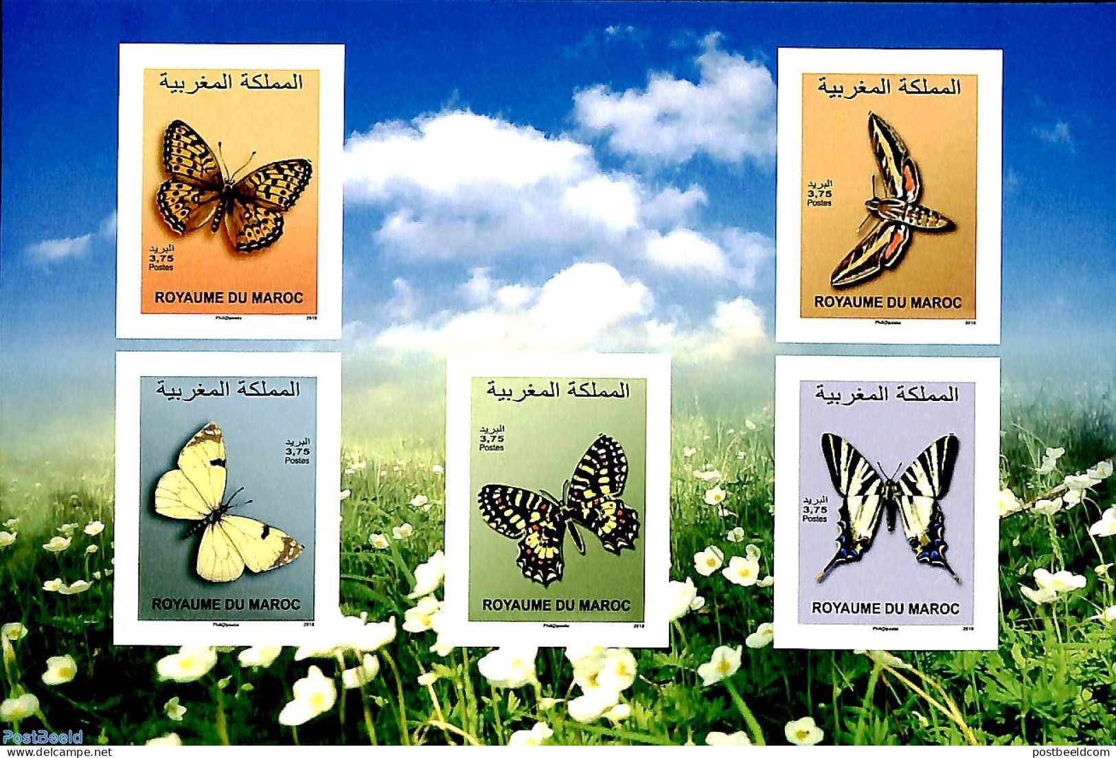 Morocco 2019 Butterflies 5v S-a S/s, Mint NH, Nature - Butterflies - Otros & Sin Clasificación