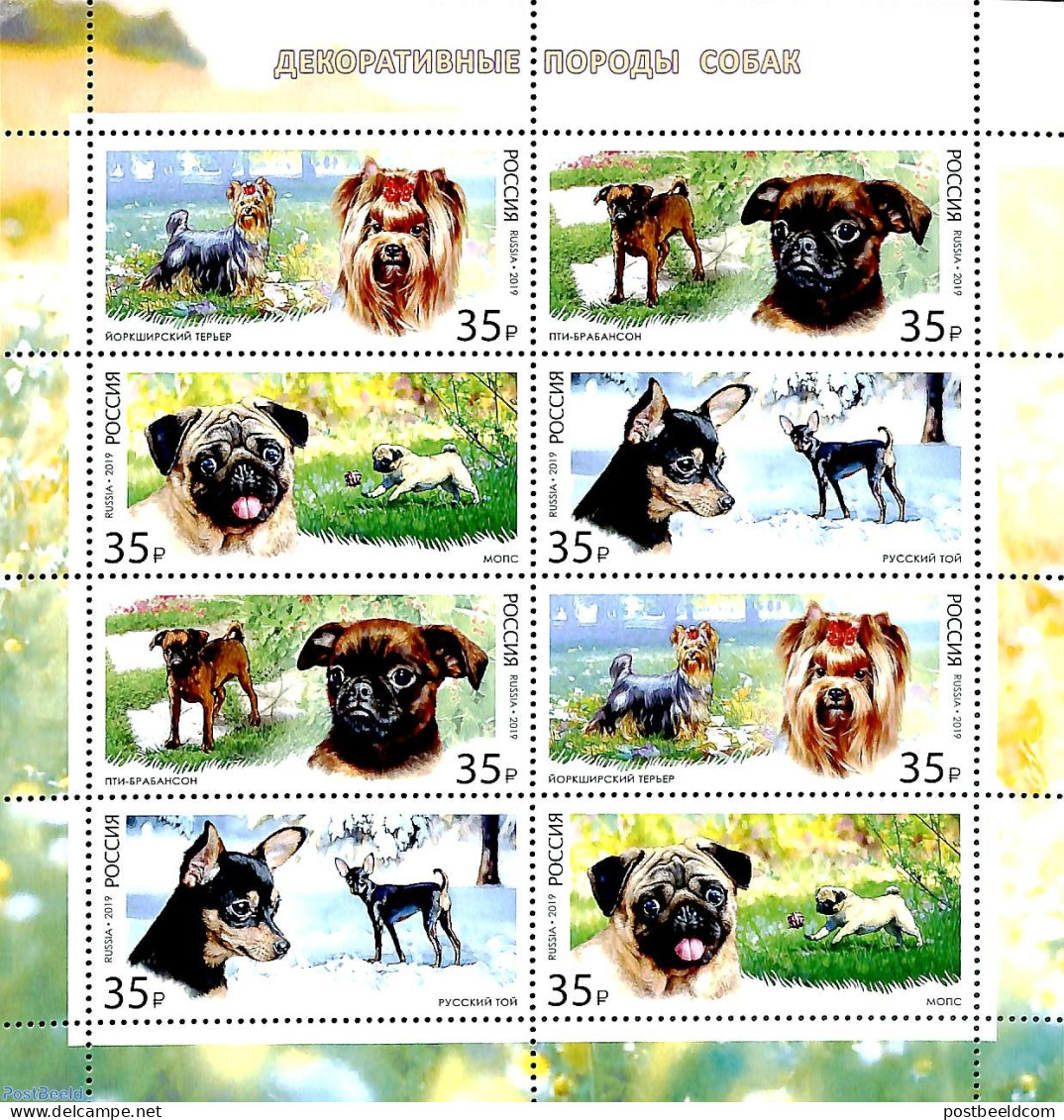 Russia 2019 Dogs M/s, Mint NH, Nature - Dogs - Autres & Non Classés