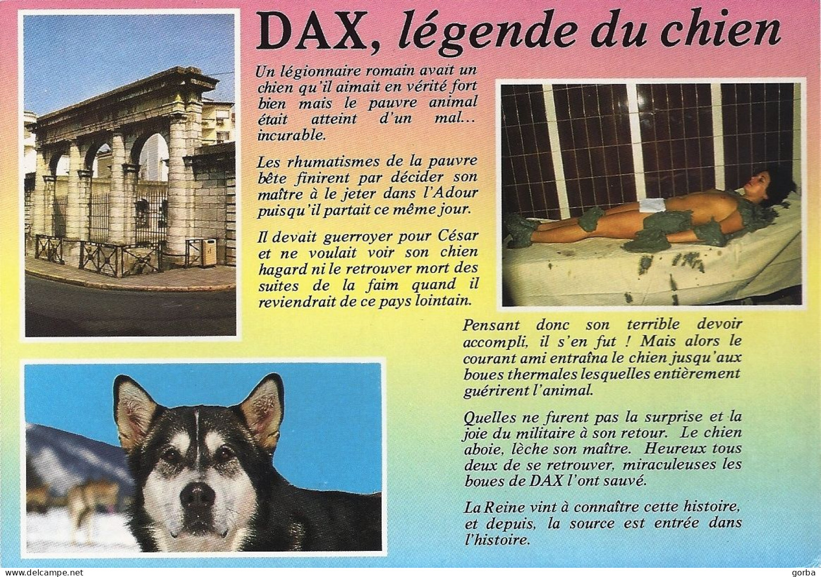 *CPM - 40 - DAX - La Légende Du Chien - Dax