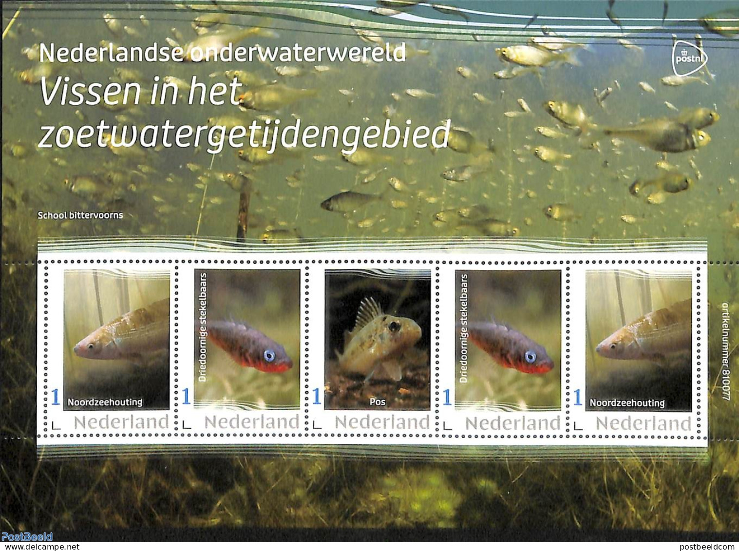 Netherlands - Personal Stamps TNT/PNL 2023 Underwaterworld 5v M/s, Mint NH, Nature - Fish - Vissen