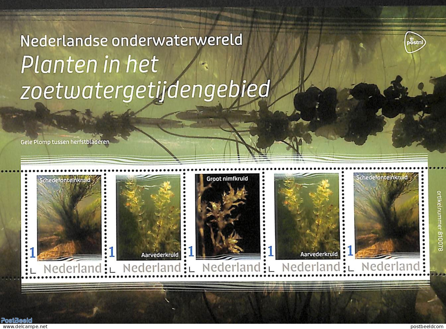 Netherlands - Personal Stamps TNT/PNL 2023 Underwaterworld 5v M/s, Mint NH, Nature - Flowers & Plants - Other & Unclassified